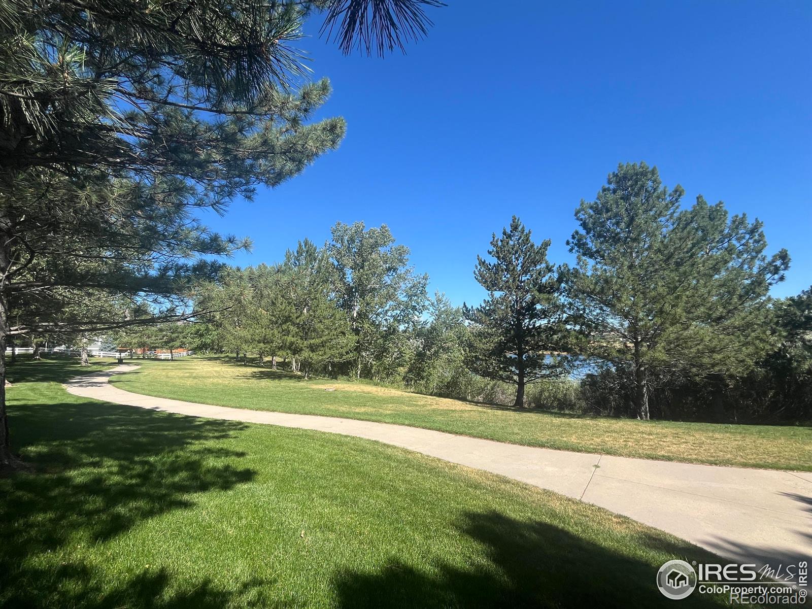 MLS Image #2 for 386  medina court,loveland, Colorado