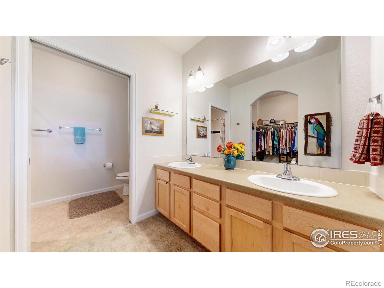 MLS Image #13 for 2203  owens avenue,fort collins, Colorado