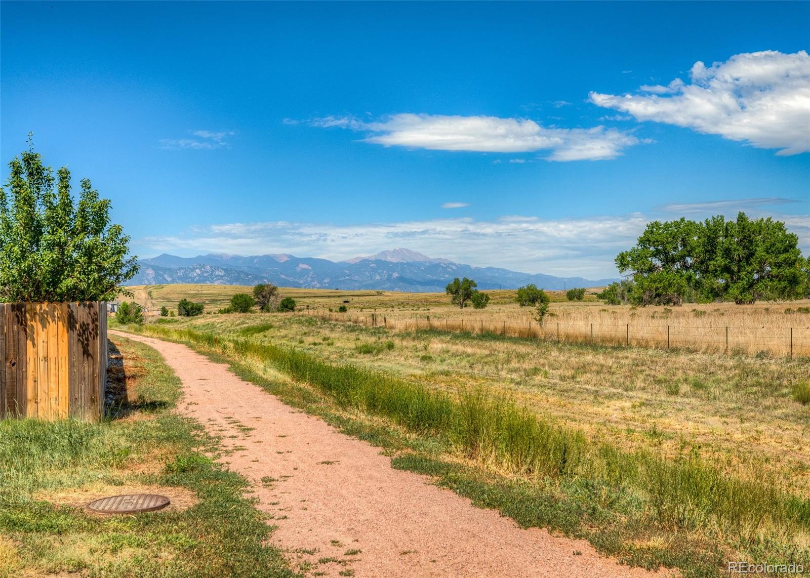 MLS Image #47 for 10166  silverstirrup drive,colorado springs, Colorado