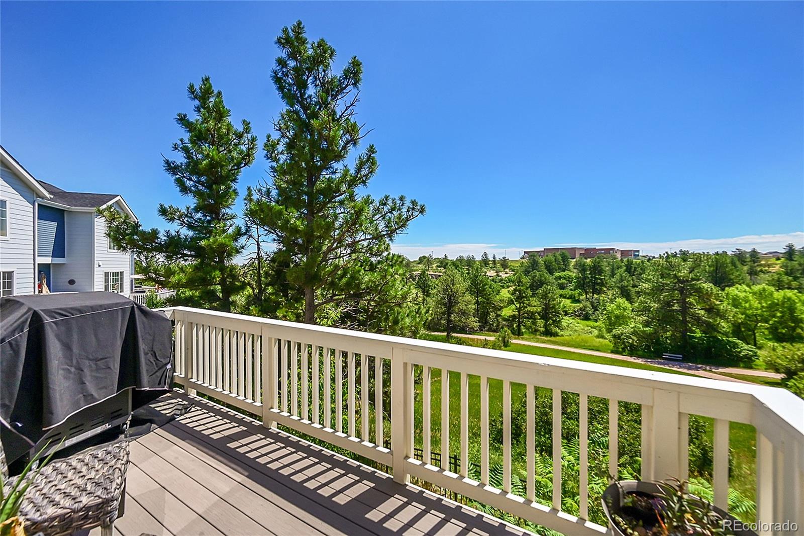 MLS Image #14 for 576  whisper wind lane,castle rock, Colorado