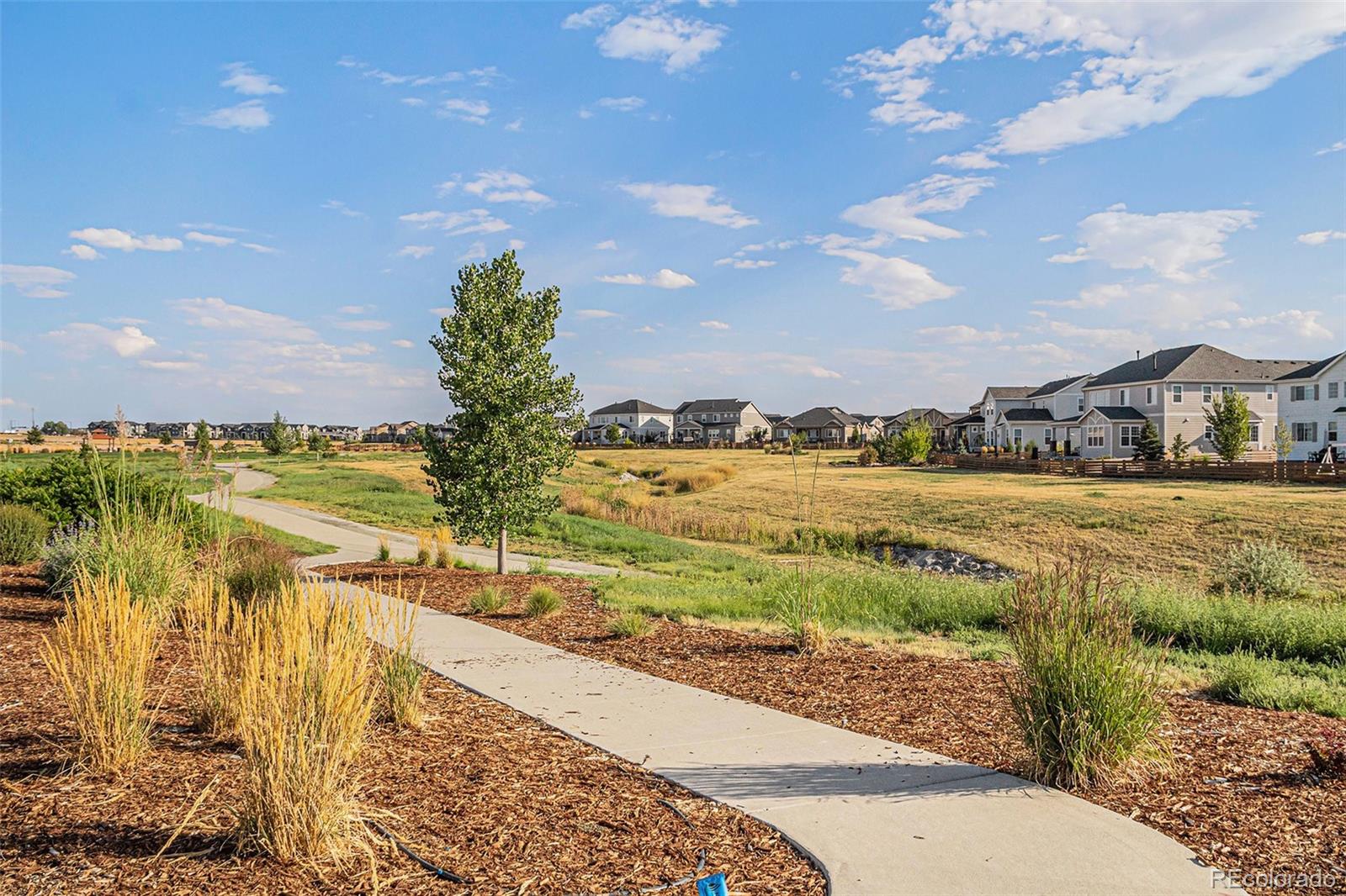 MLS Image #35 for 780  audubon peak drive,erie, Colorado