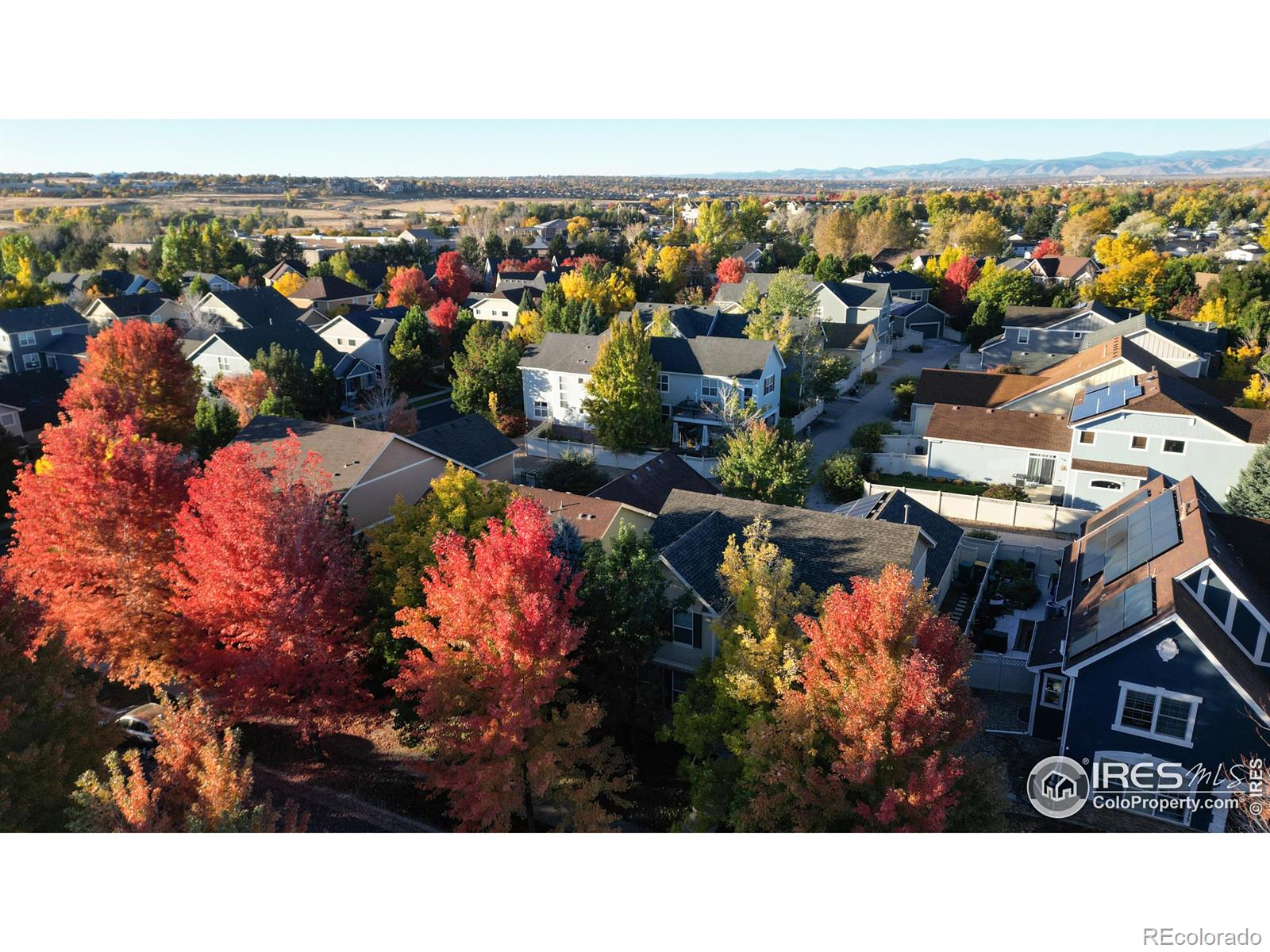 MLS Image #39 for 2155  harmony park drive,denver, Colorado