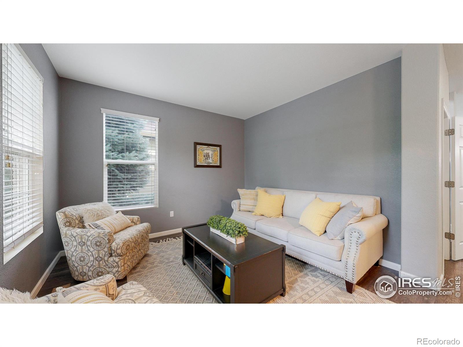 MLS Image #8 for 2155  harmony park drive,denver, Colorado