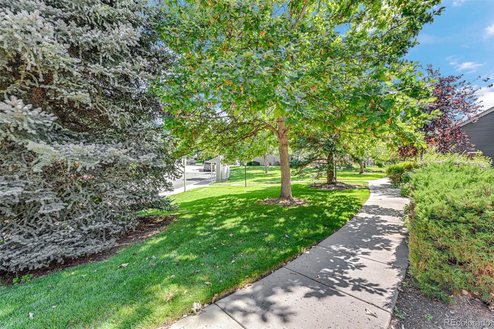 MLS Image #41 for 2900 w long circle,littleton, Colorado