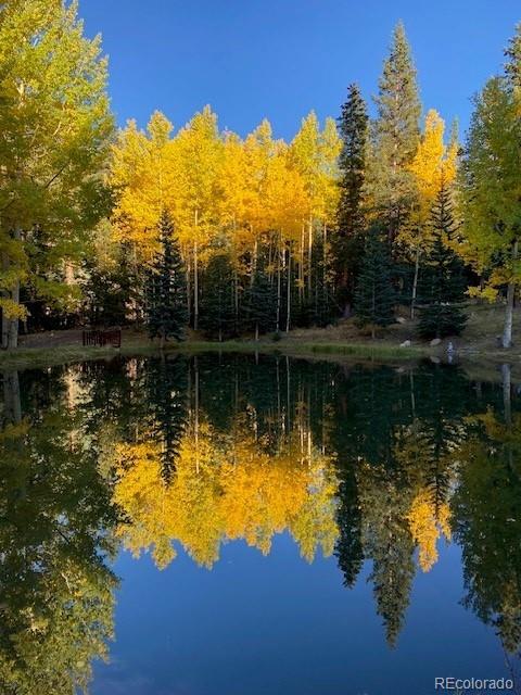 MLS Image #2 for 616  peaceful valley lane,idaho springs, Colorado