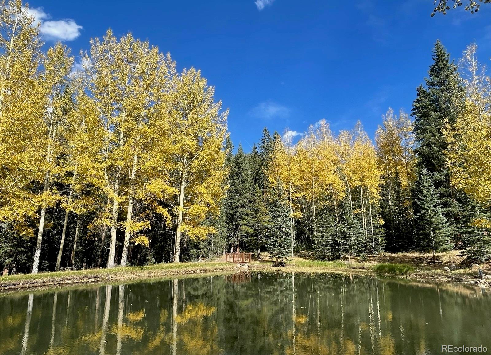 MLS Image #3 for 616  peaceful valley lane,idaho springs, Colorado