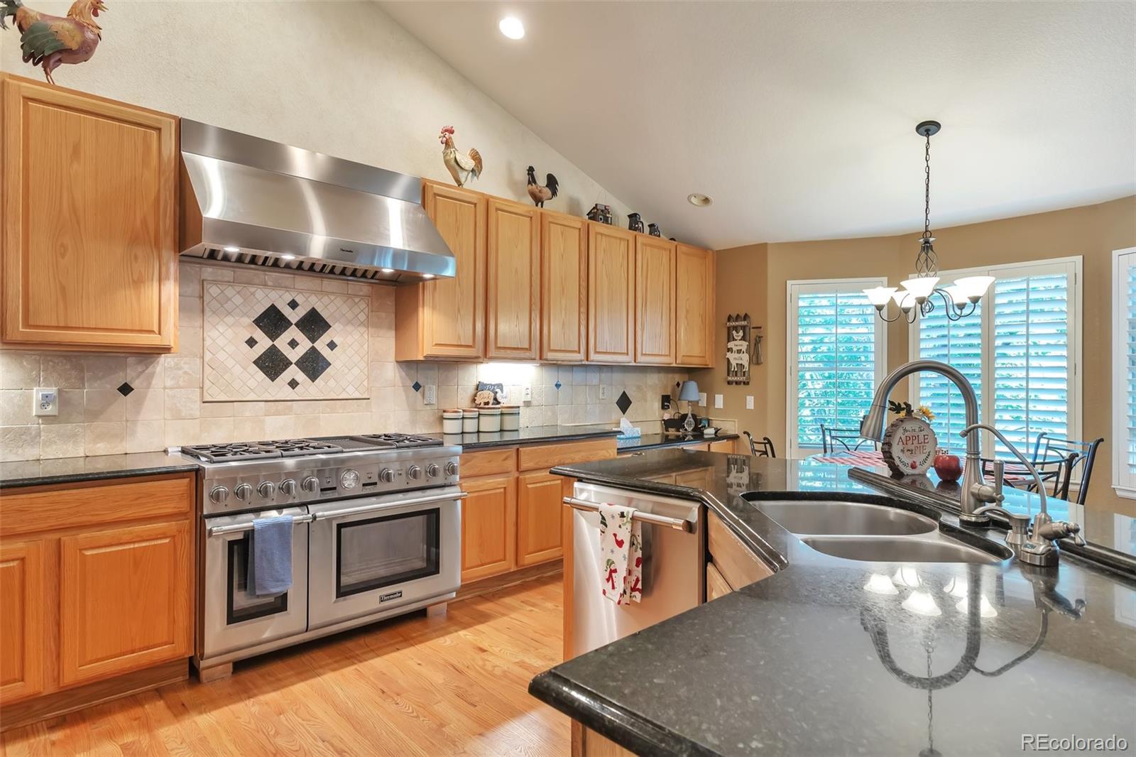 MLS Image #14 for 3573  deer creek drive,parker, Colorado