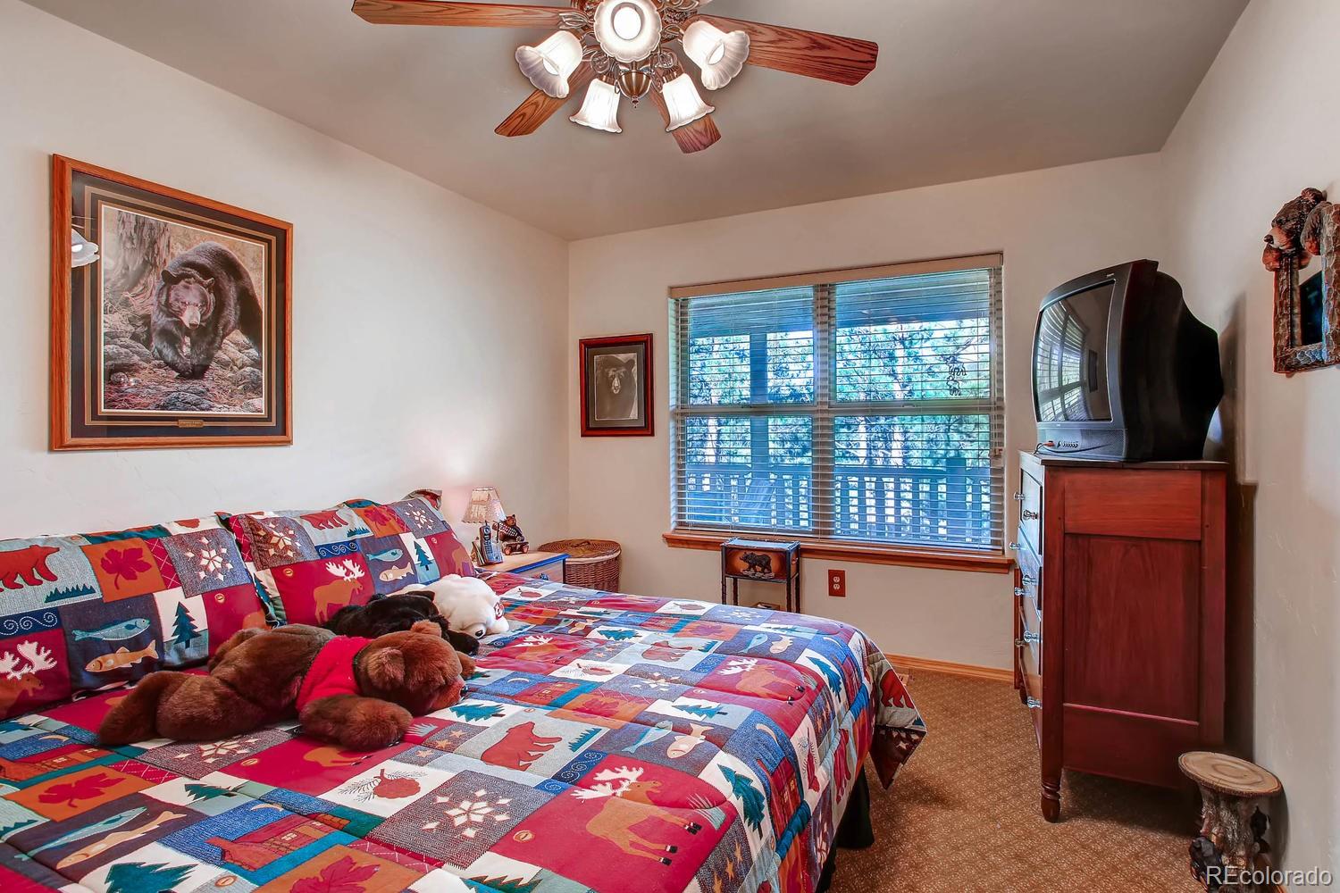 MLS Image #17 for 356 n vermillion road,lake george, Colorado