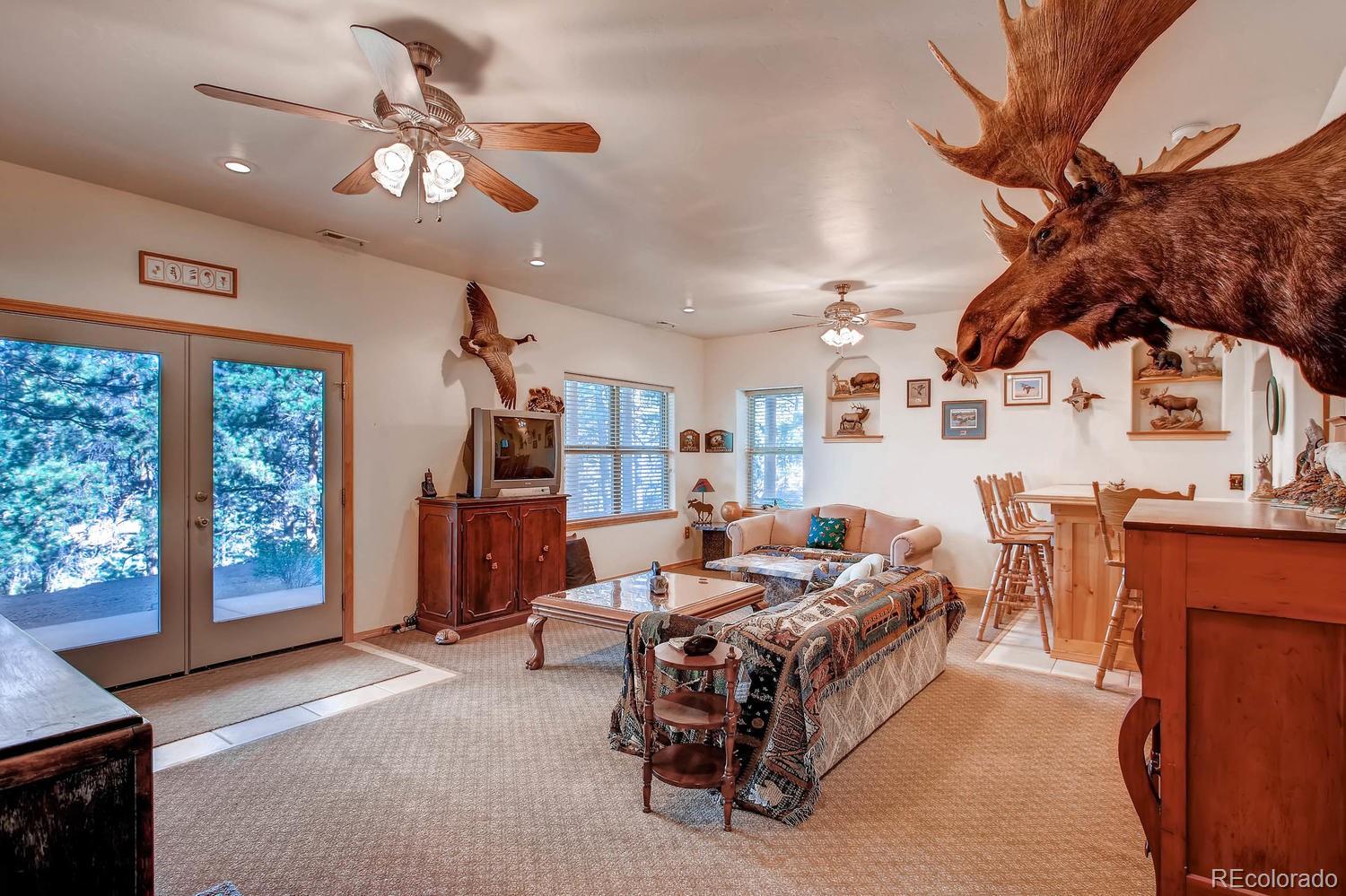MLS Image #18 for 356 n vermillion road,lake george, Colorado