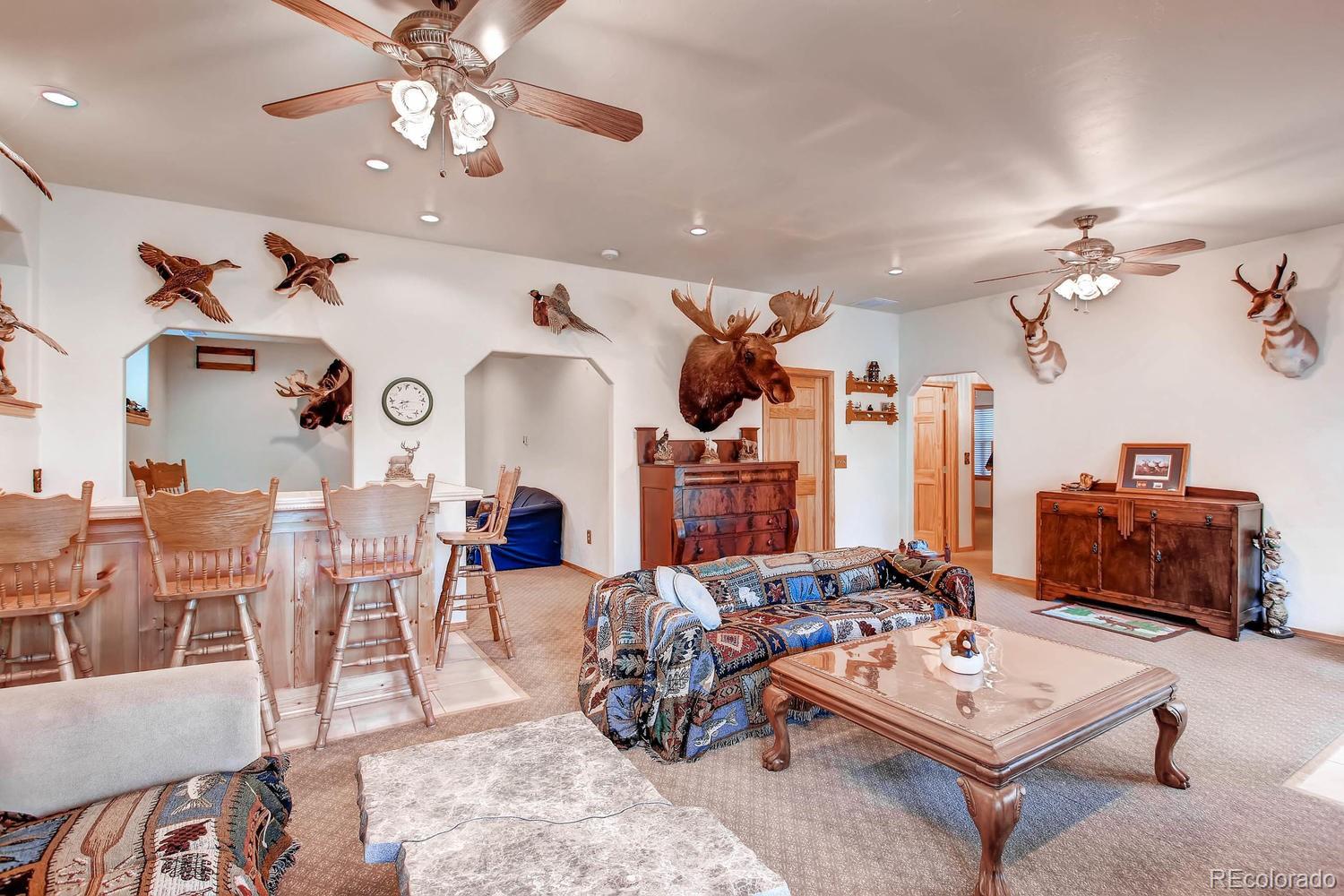 MLS Image #19 for 356 n vermillion road,lake george, Colorado