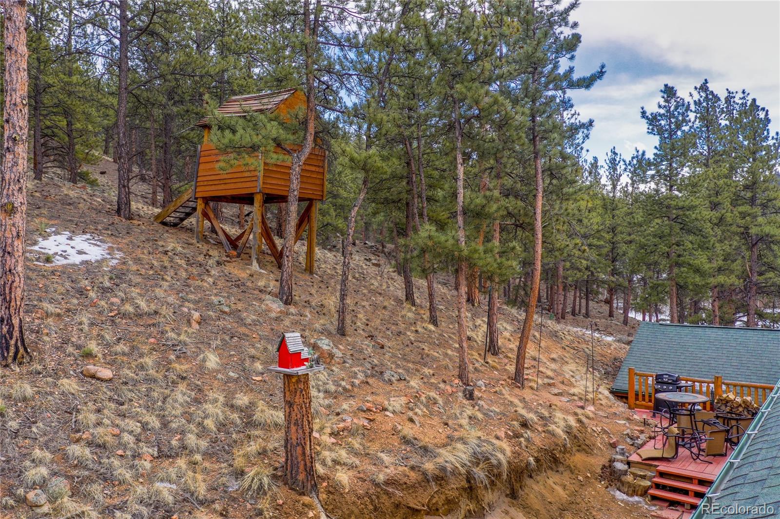MLS Image #2 for 356 n vermillion road,lake george, Colorado