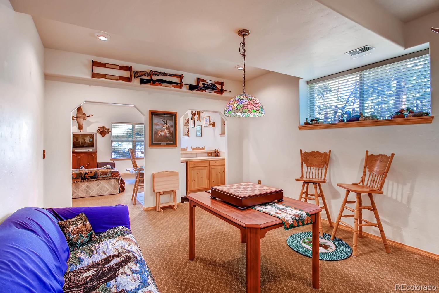 MLS Image #20 for 356 n vermillion road,lake george, Colorado