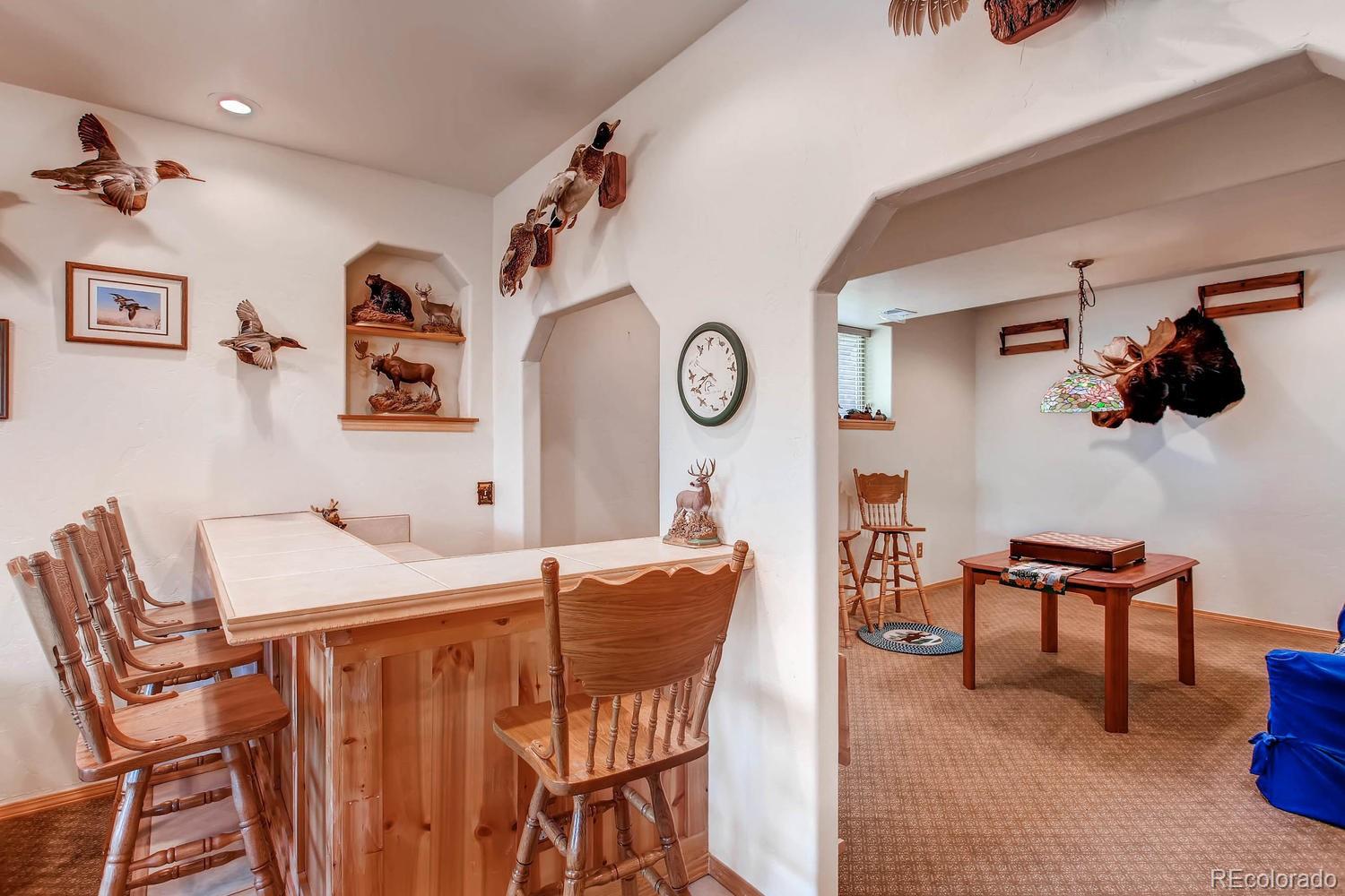 MLS Image #21 for 356 n vermillion road,lake george, Colorado