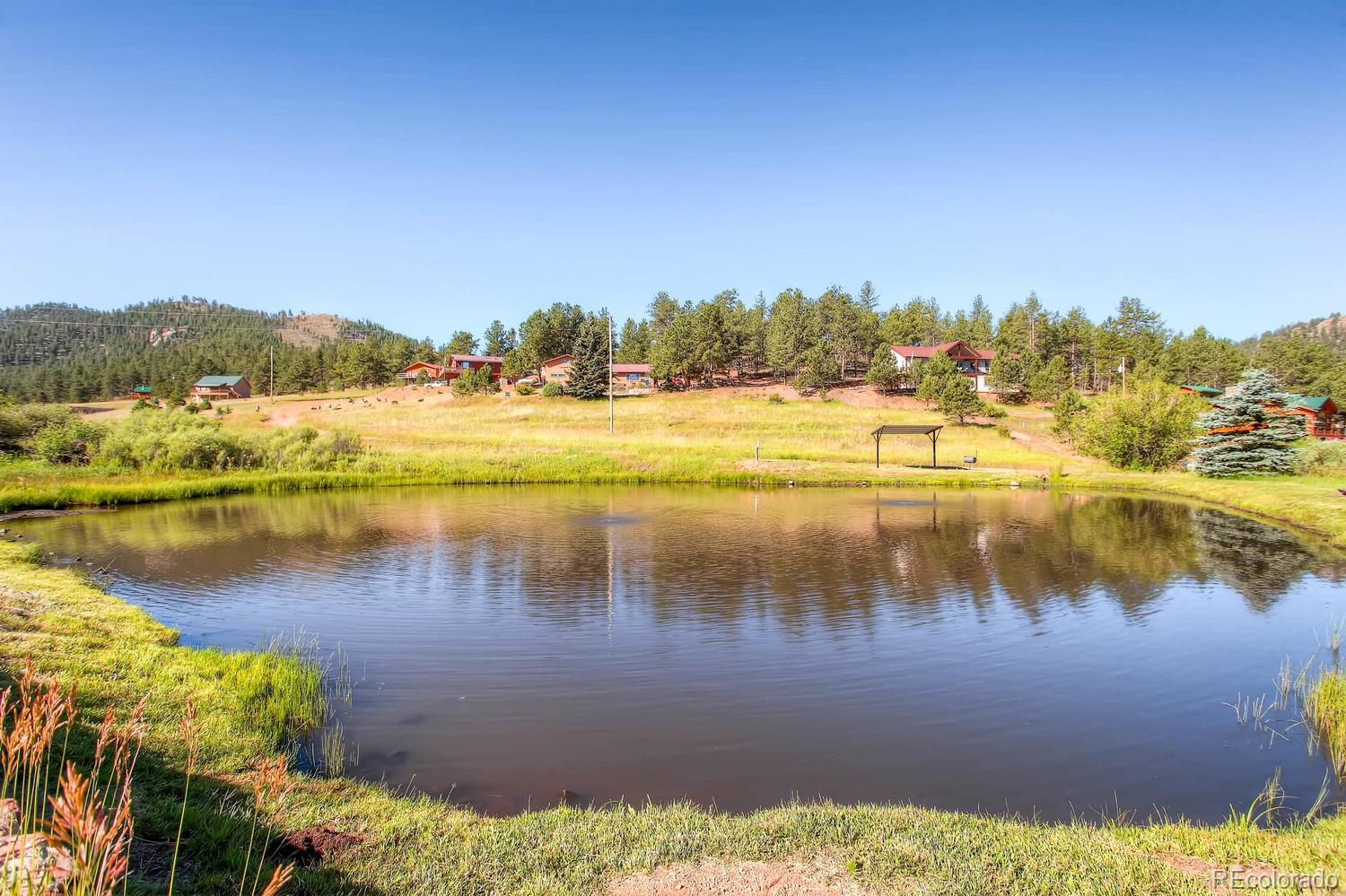 MLS Image #4 for 356 n vermillion road,lake george, Colorado