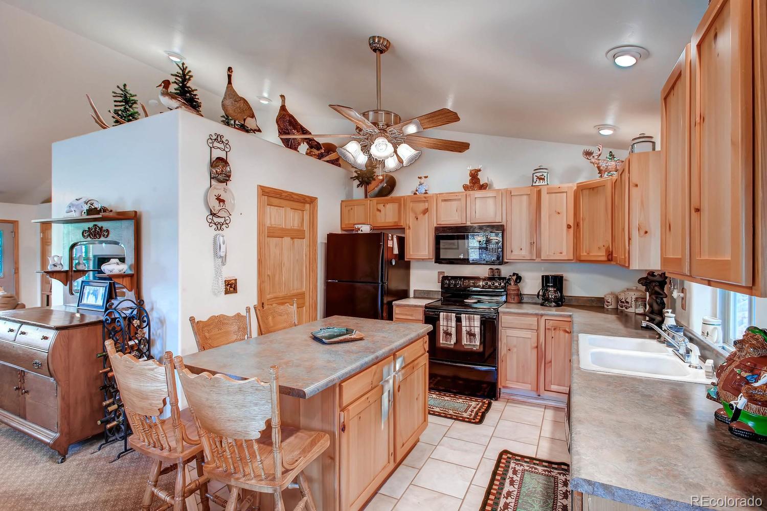 MLS Image #9 for 356 n vermillion road,lake george, Colorado