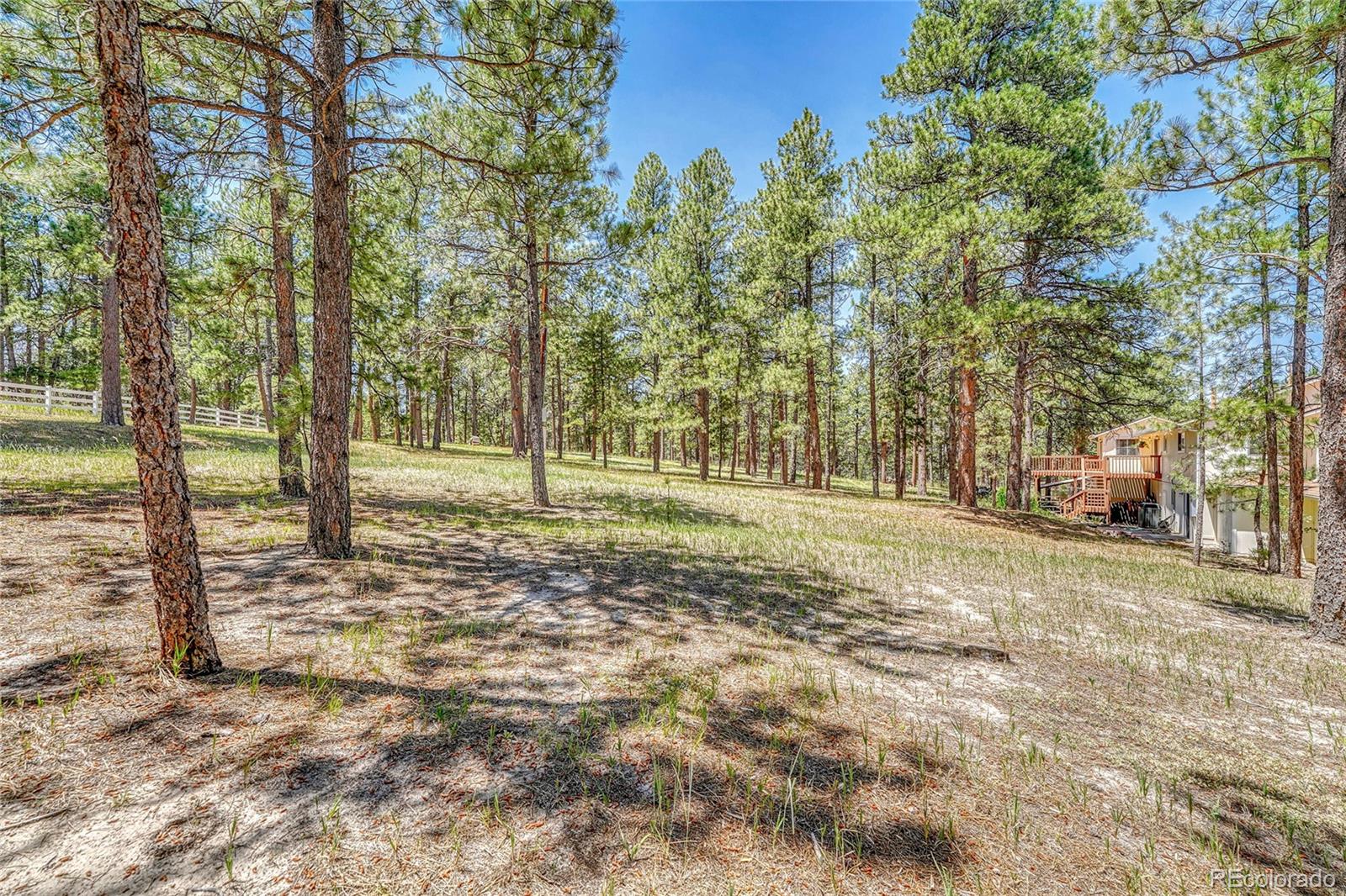 MLS Image #39 for 37057  timber drive,elizabeth, Colorado