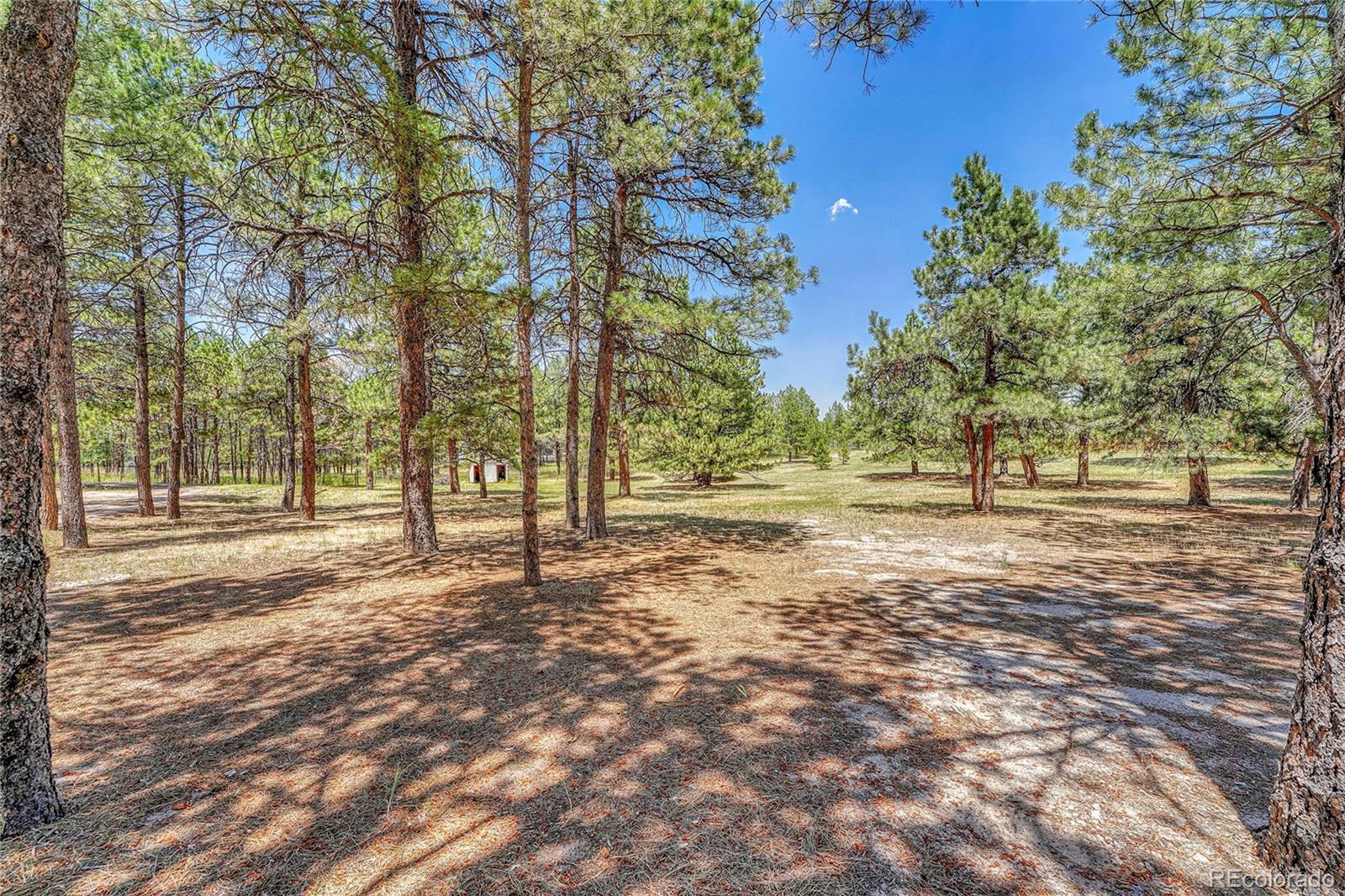 MLS Image #4 for 37057  timber drive,elizabeth, Colorado