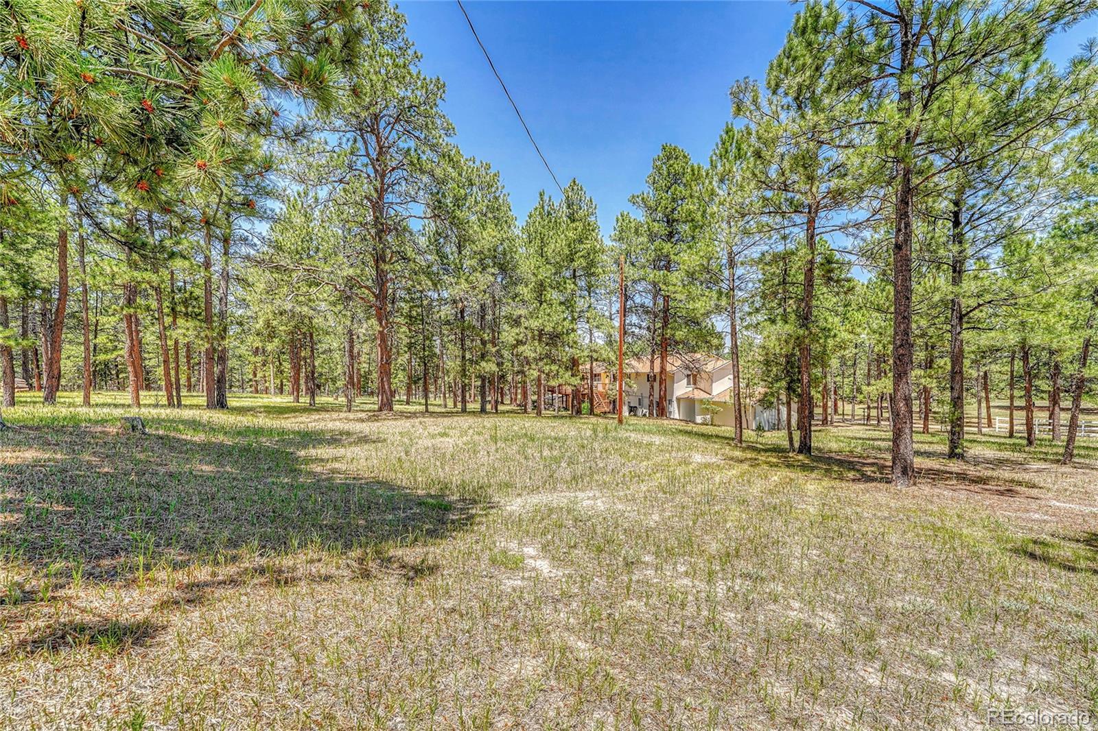 MLS Image #40 for 37057  timber drive,elizabeth, Colorado