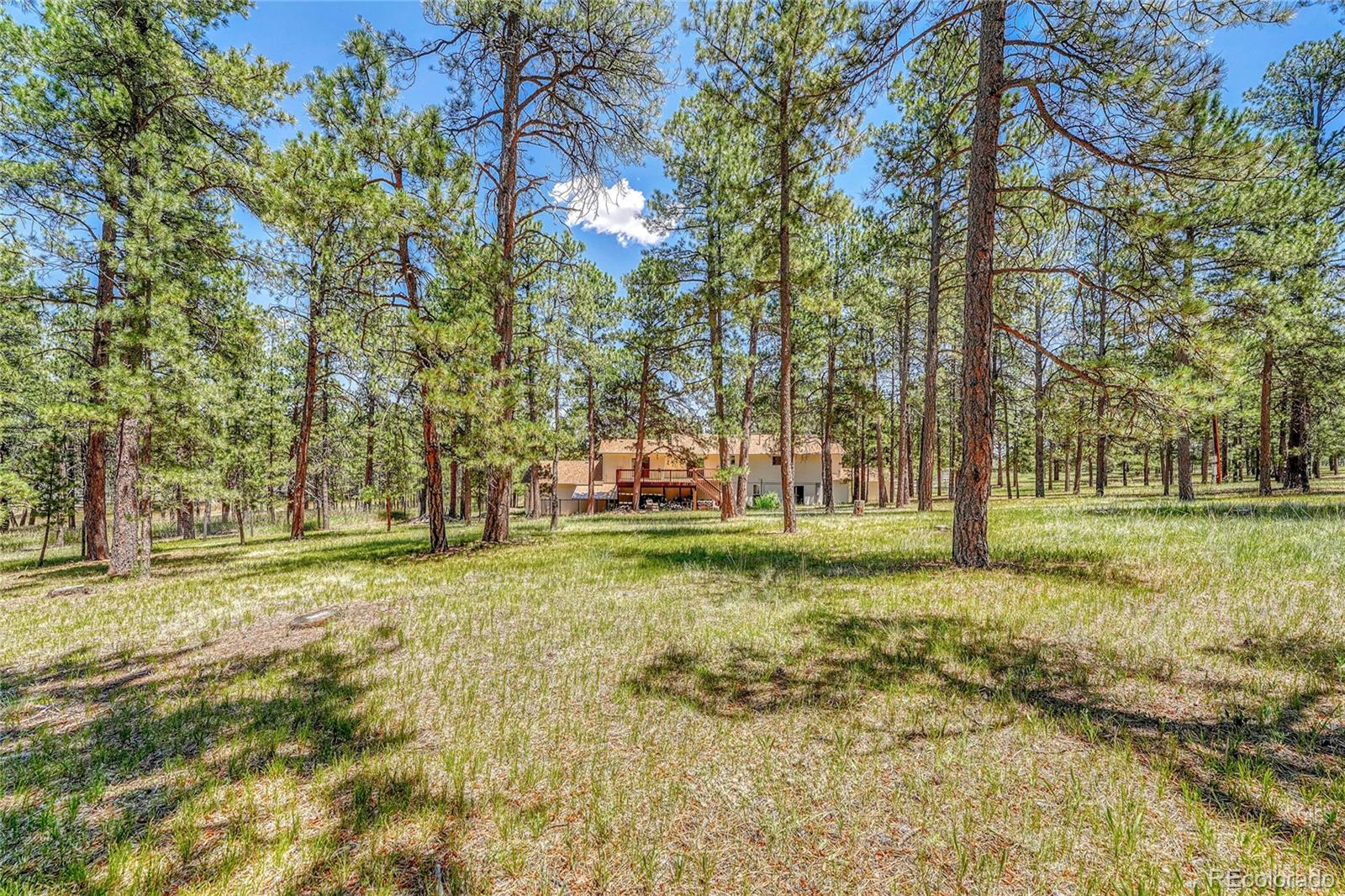 MLS Image #41 for 37057  timber drive,elizabeth, Colorado