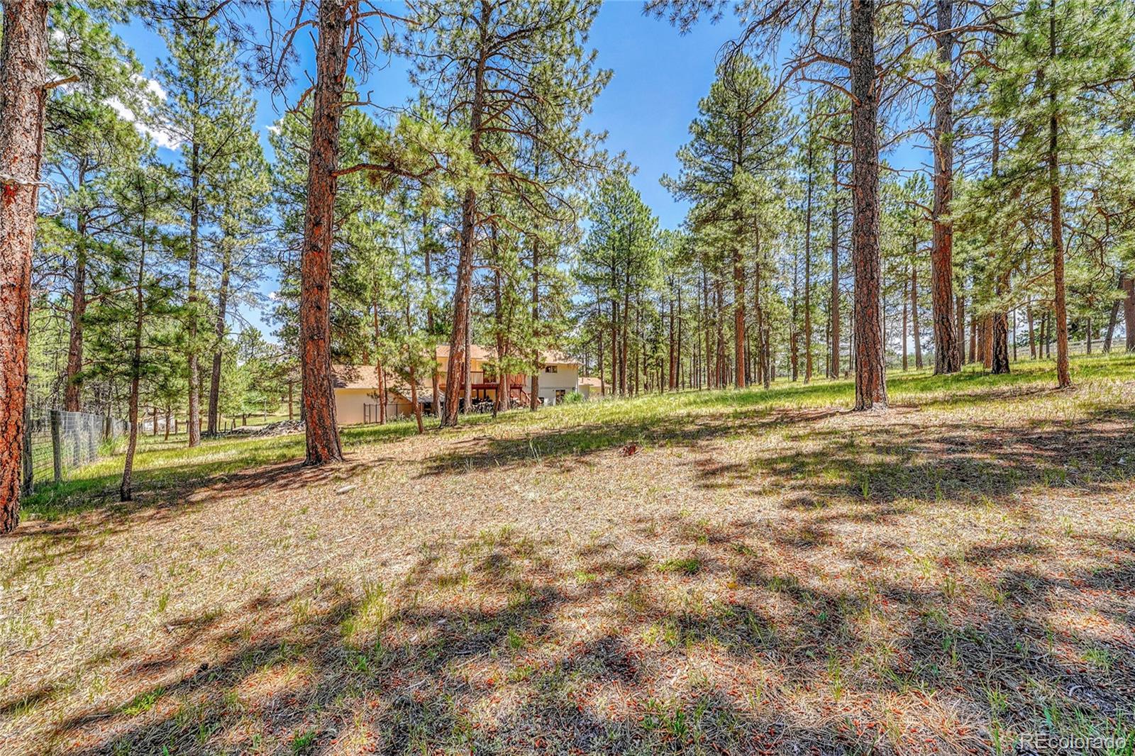 MLS Image #42 for 37057  timber drive,elizabeth, Colorado