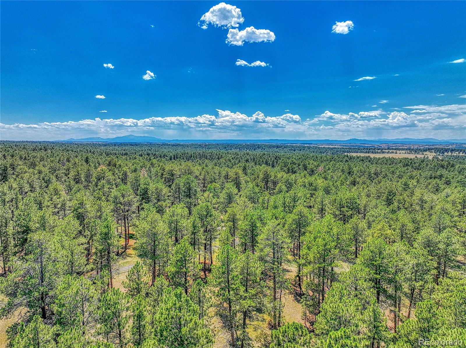 MLS Image #49 for 37057  timber drive,elizabeth, Colorado