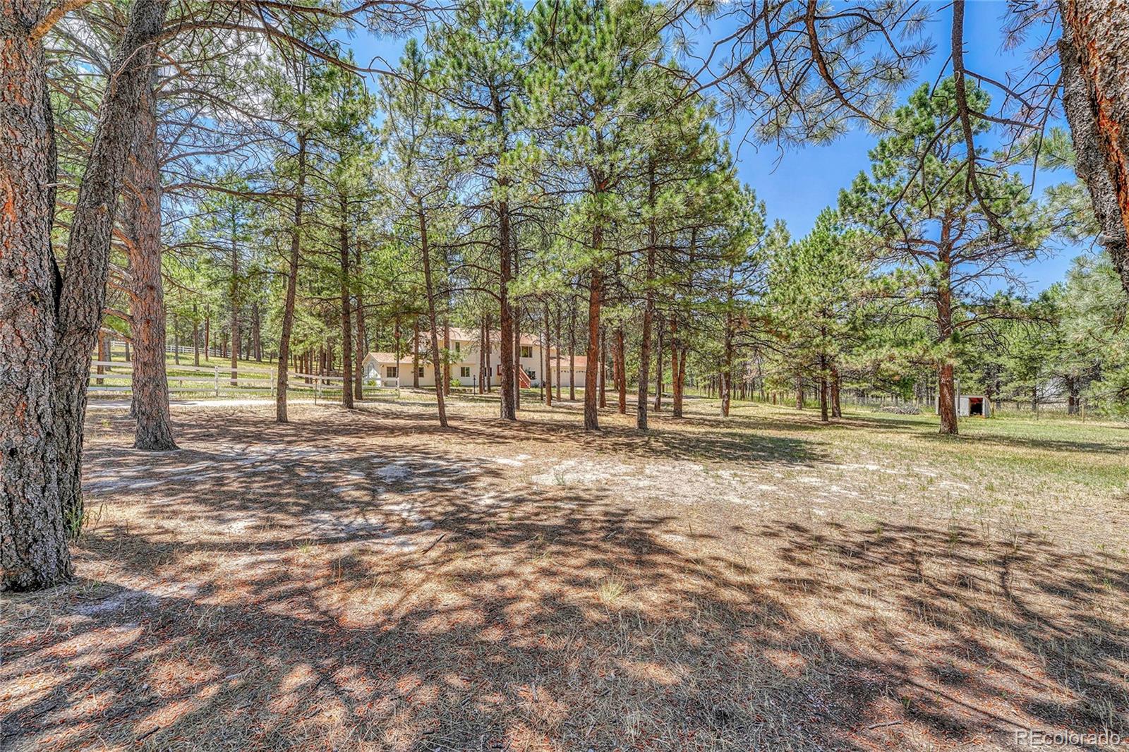 MLS Image #5 for 37057  timber drive,elizabeth, Colorado