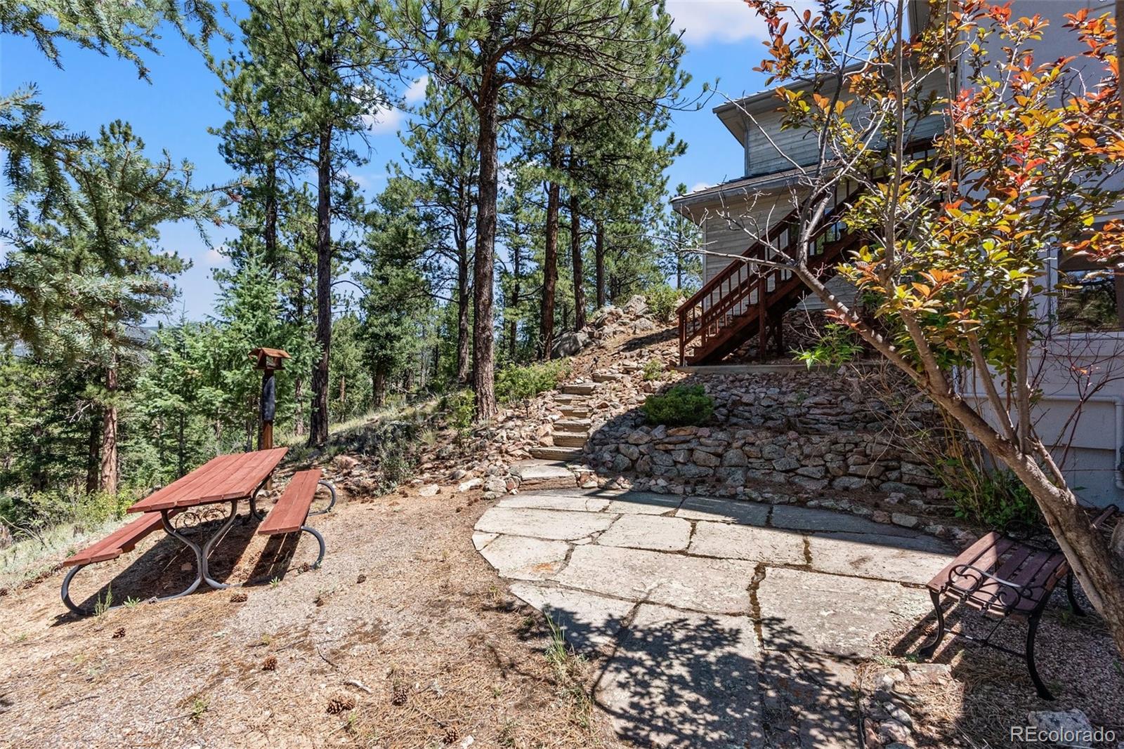 MLS Image #46 for 13745  may long court,pine, Colorado