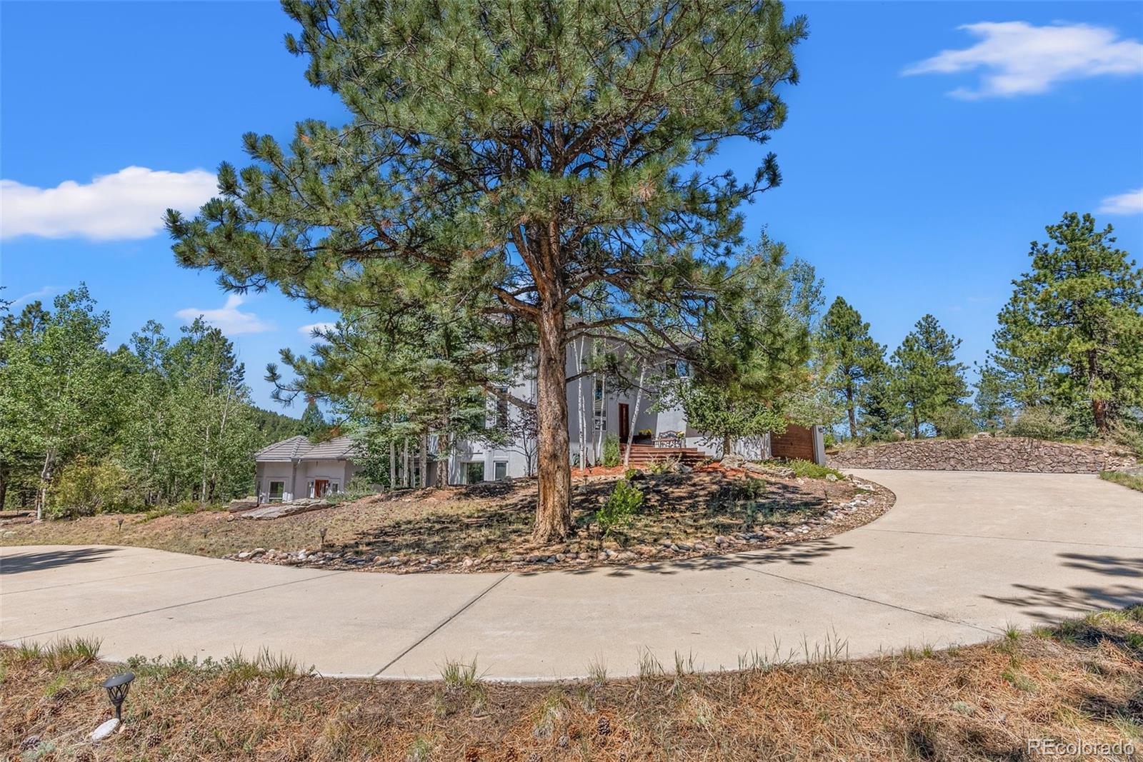 MLS Image #48 for 13745  may long court,pine, Colorado