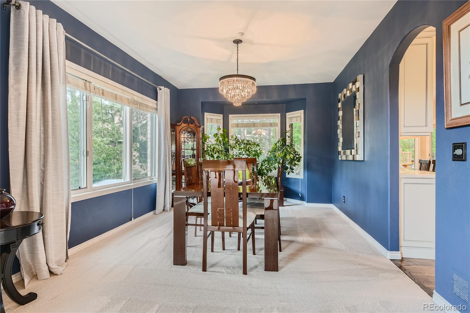 MLS Image #5 for 574  castle pines drive,castle rock, Colorado