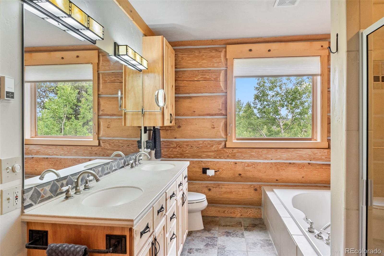 MLS Image #15 for 655  iron mountain road,fairplay, Colorado