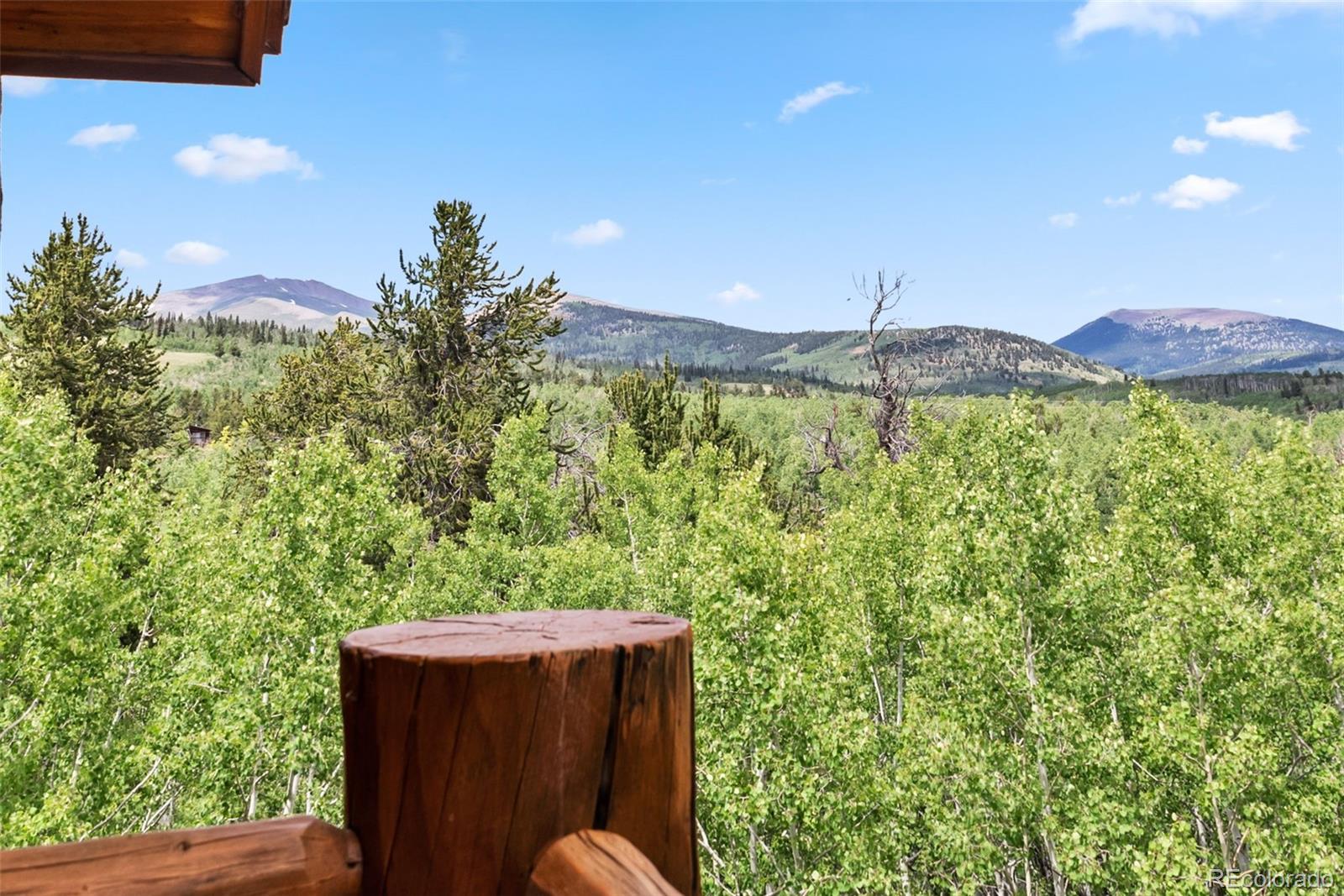 MLS Image #49 for 655  iron mountain road,fairplay, Colorado