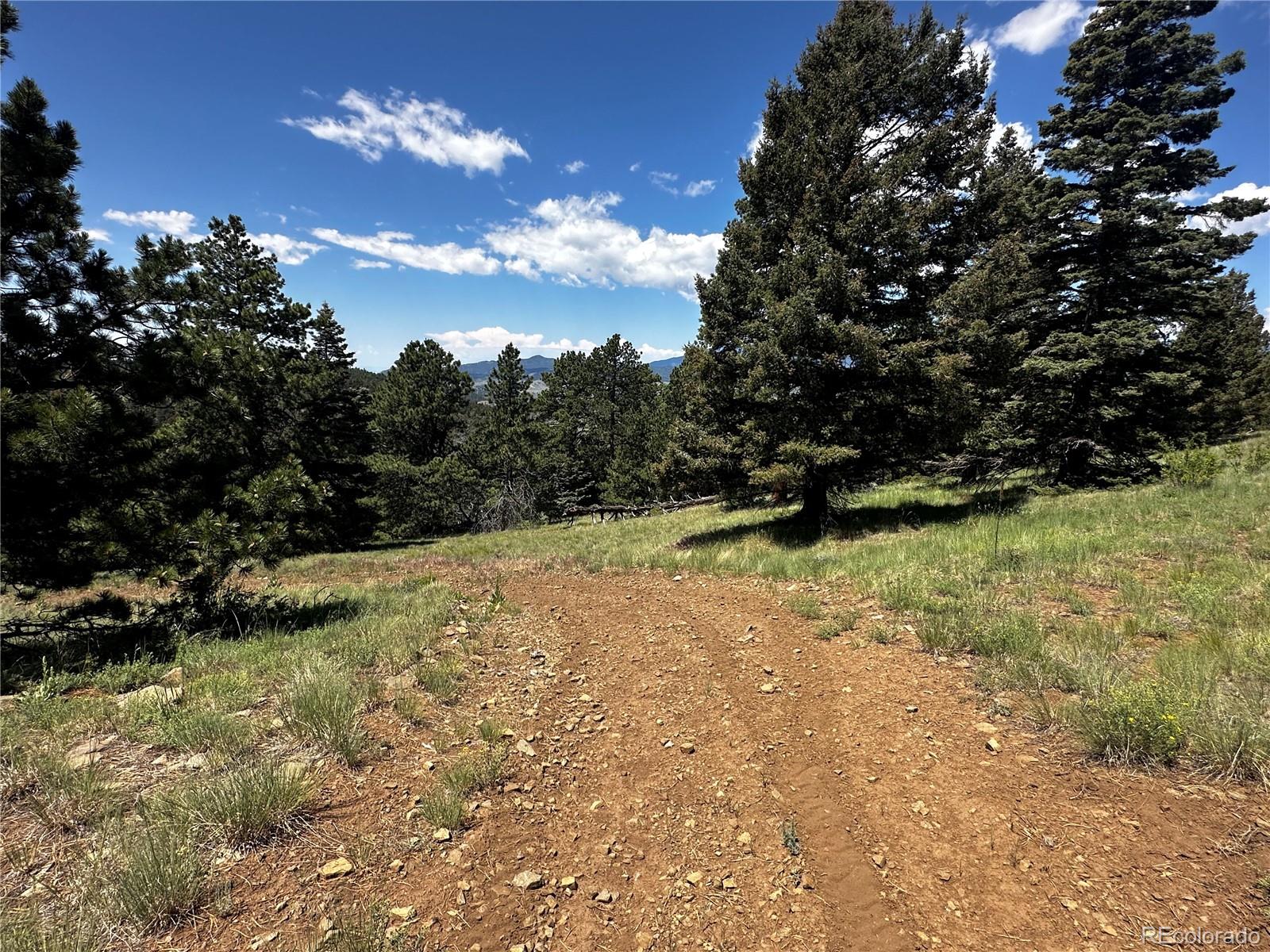 MLS Image #10 for 331  meyer drive,fort garland, Colorado