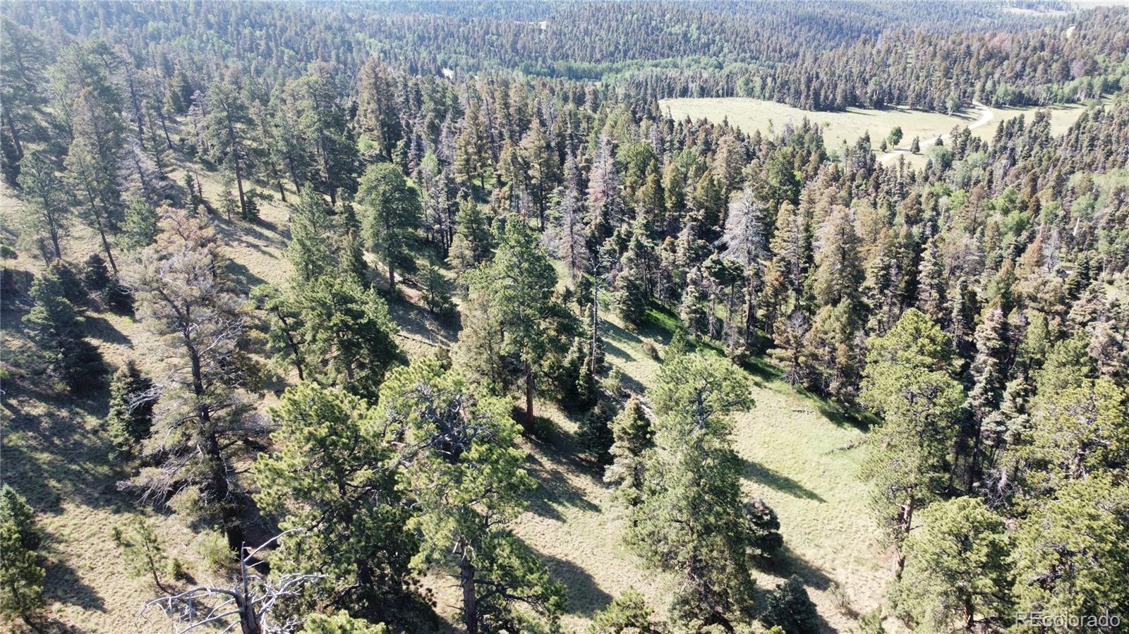 MLS Image #34 for 331  meyer drive,fort garland, Colorado