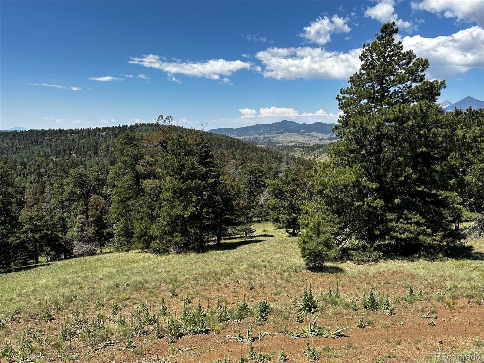 MLS Image #39 for 331  meyer drive,fort garland, Colorado