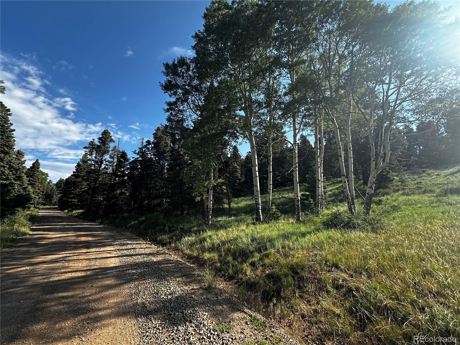 MLS Image #48 for 331  meyer drive,fort garland, Colorado