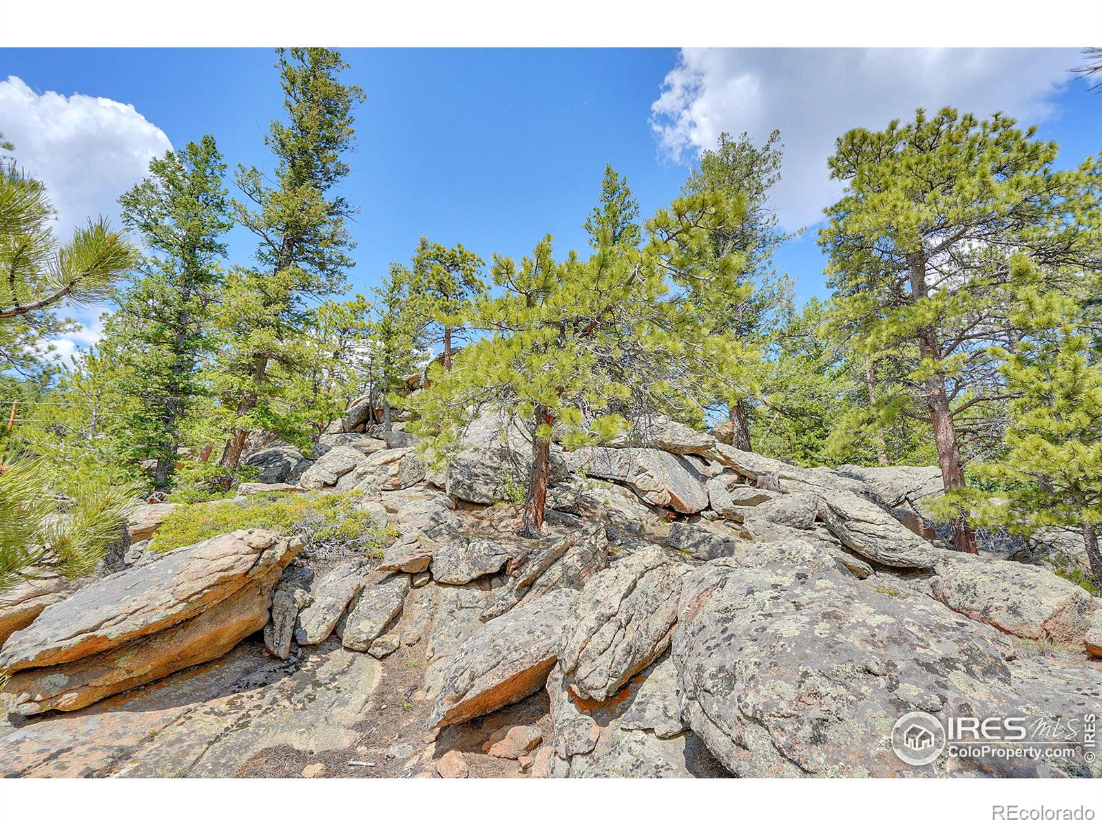 MLS Image #38 for 762  okmulgee circle,red feather lakes, Colorado