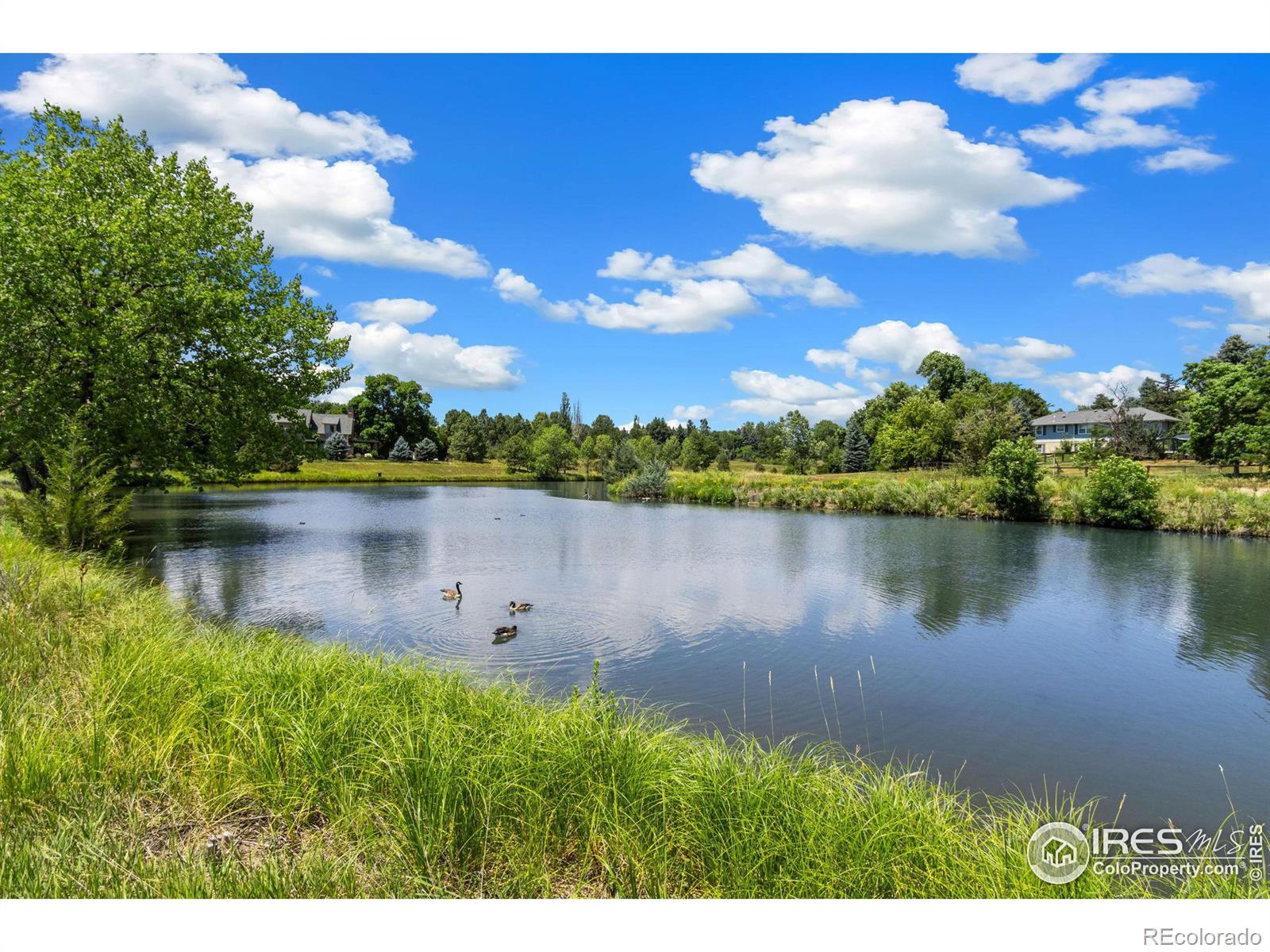 MLS Image #30 for 4960  hogan drive,fort collins, Colorado