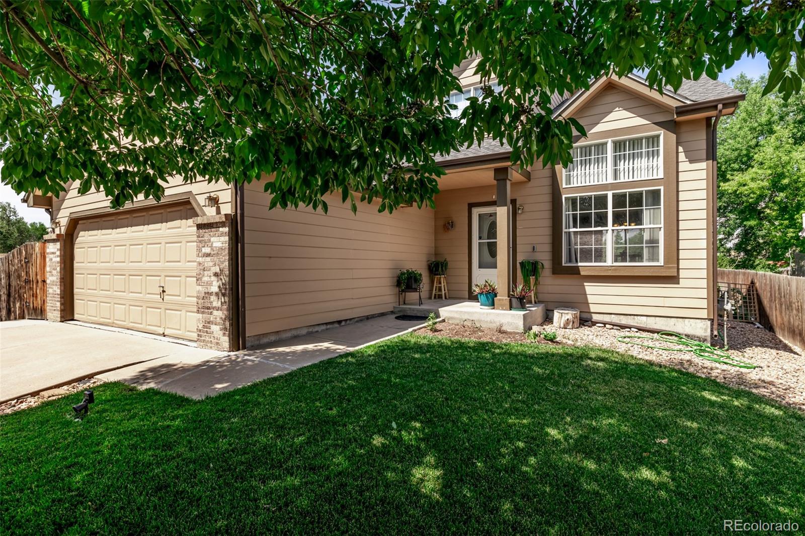 MLS Image #4 for 11819  dahlia drive,thornton, Colorado