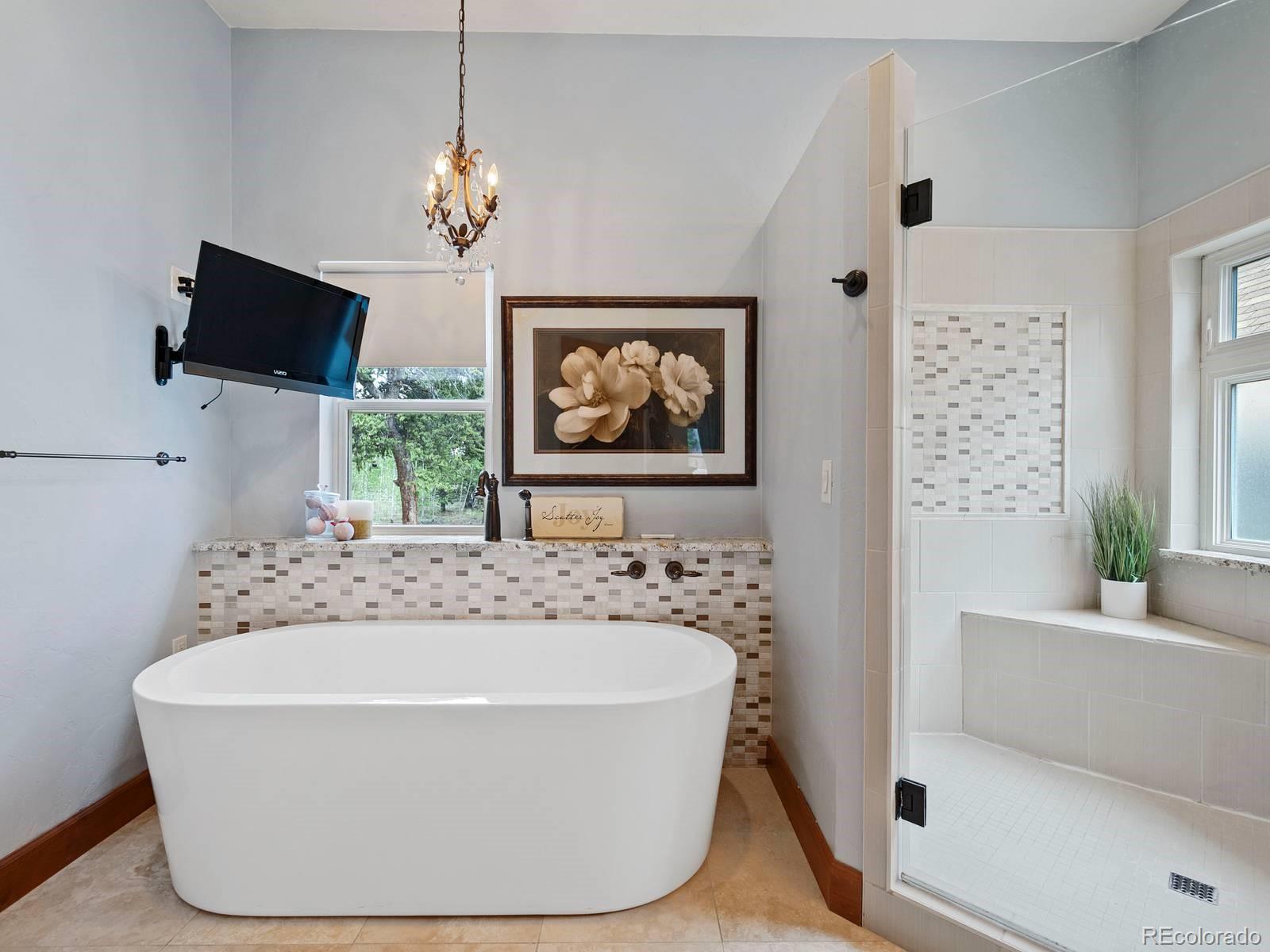 MLS Image #17 for 2040  mullenville road,fairplay, Colorado