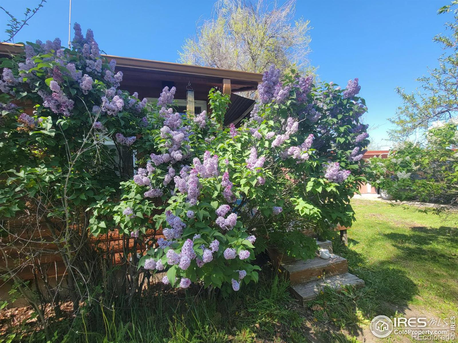 MLS Image #25 for 2555  zephyr street,lakewood, Colorado