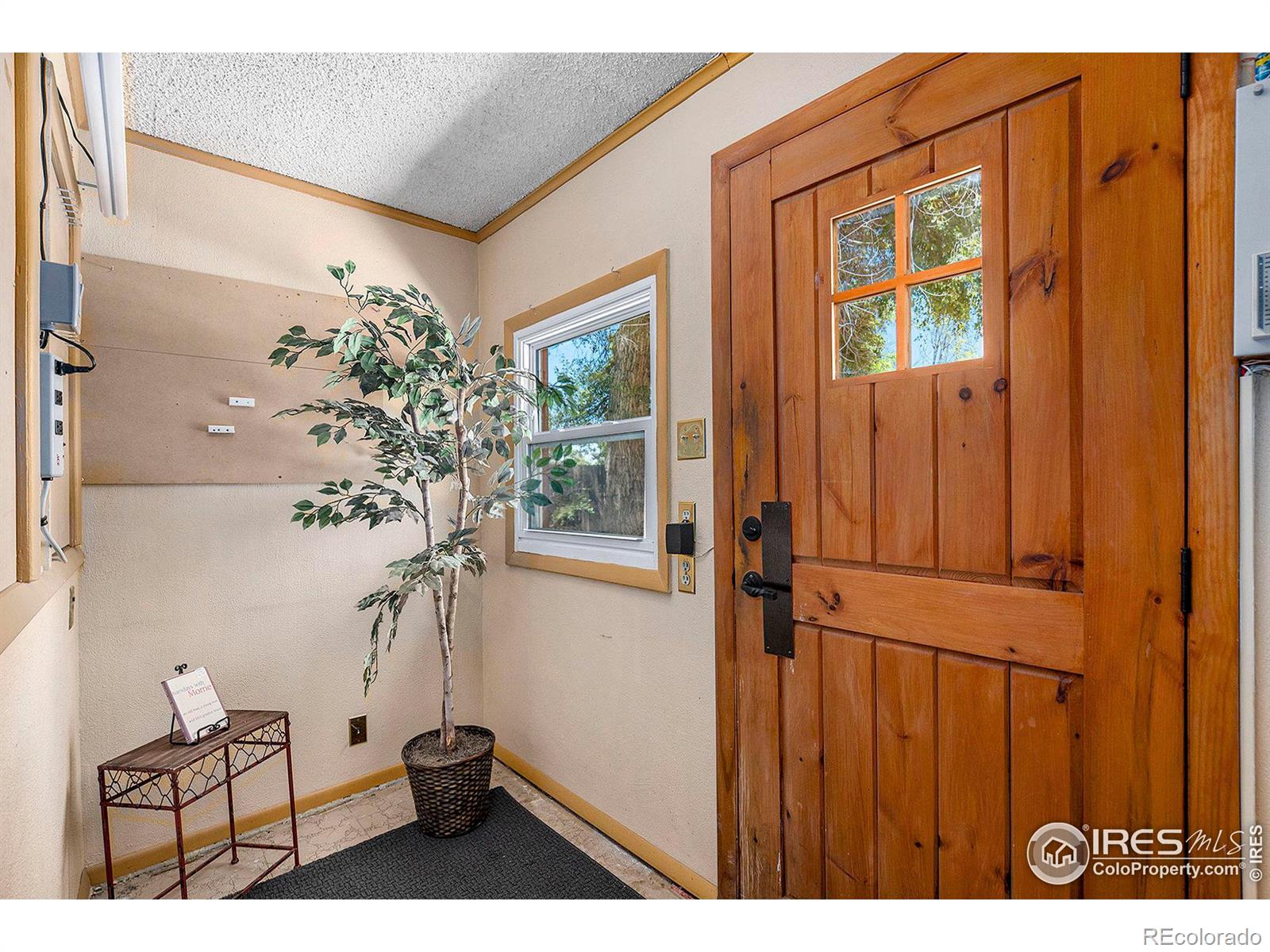 MLS Image #6 for 2555  zephyr street,lakewood, Colorado