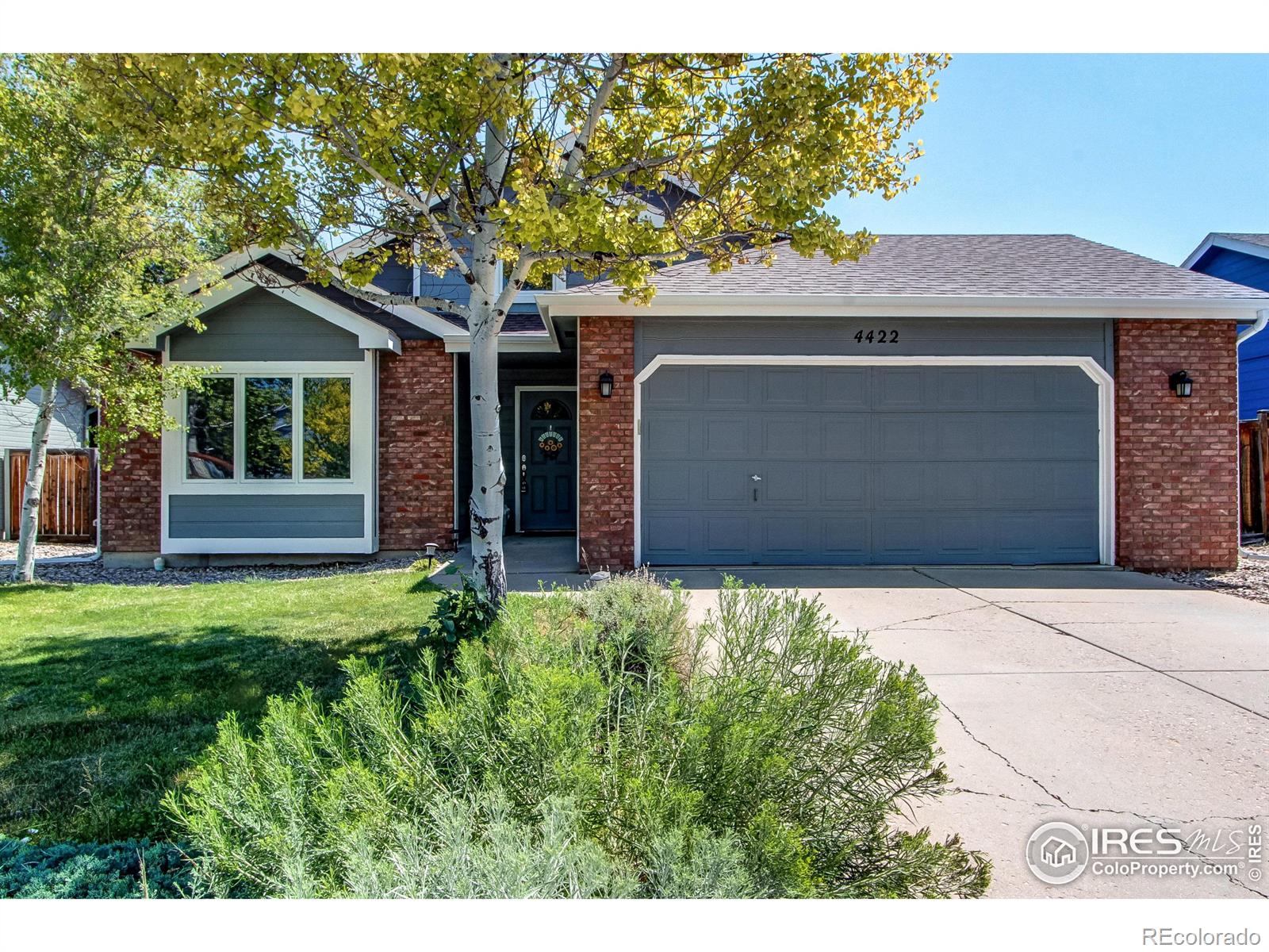 CMA Image for 4422  vista drive,Fort Collins, Colorado