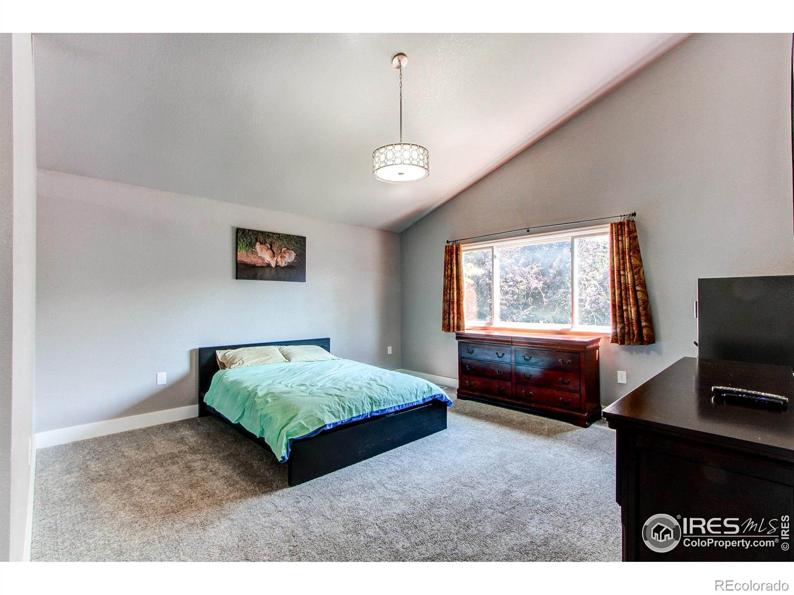 MLS Image #11 for 4422  vista drive,fort collins, Colorado