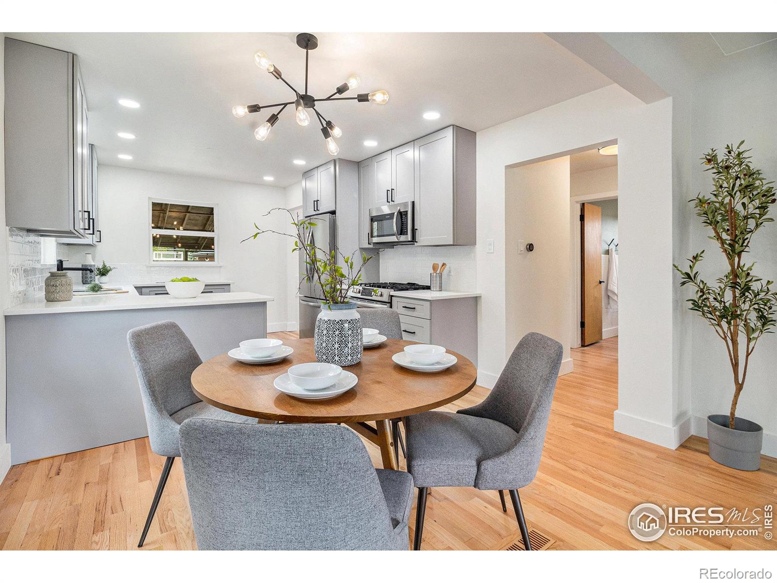 CMA Image for 1527 S Corona Street,Denver, Colorado