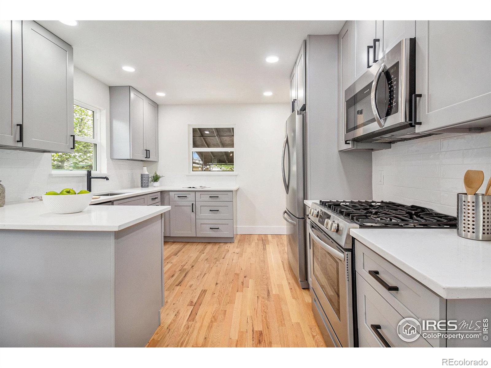 MLS Image #2 for 1527 s corona street,denver, Colorado