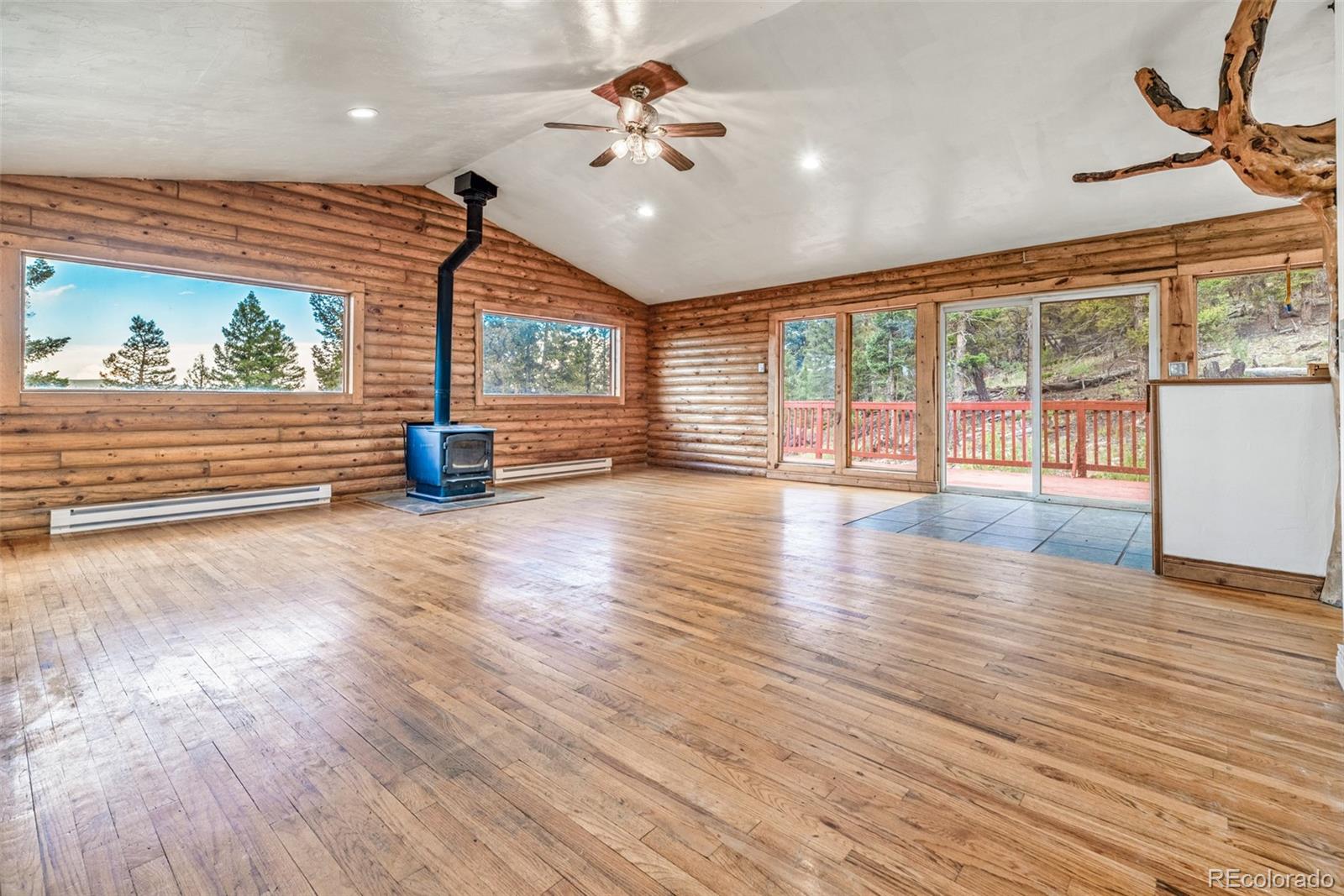 MLS Image #7 for 2271  redhill road,fairplay, Colorado