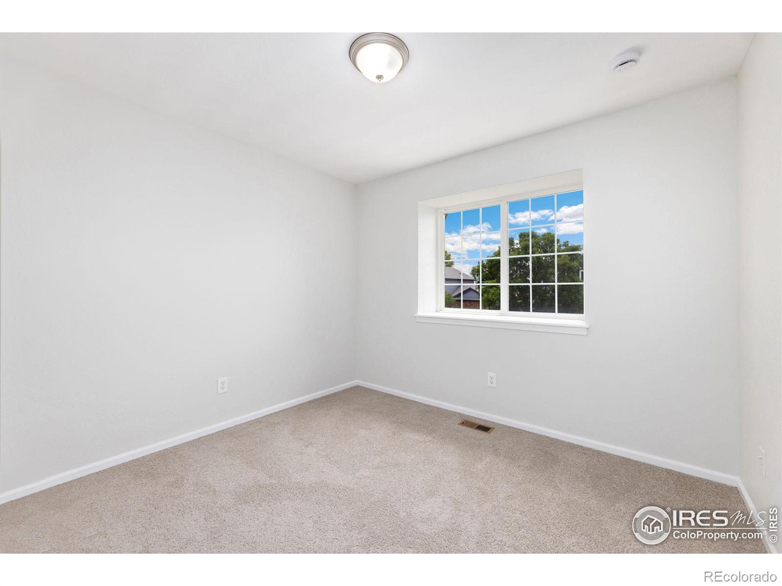 MLS Image #11 for 3805  carbondale street,loveland, Colorado