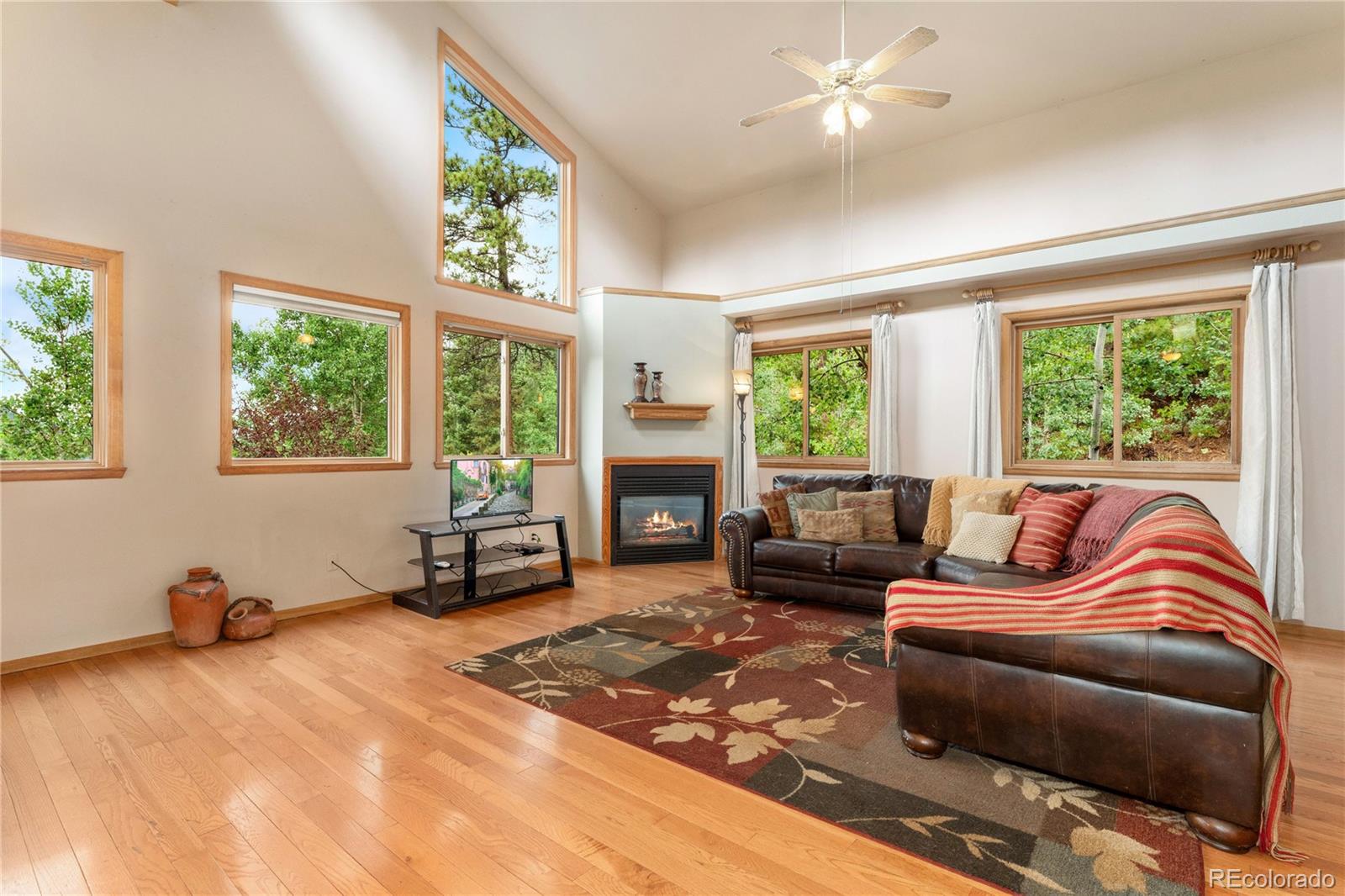 MLS Image #8 for 20980  cedar drive,morrison, Colorado