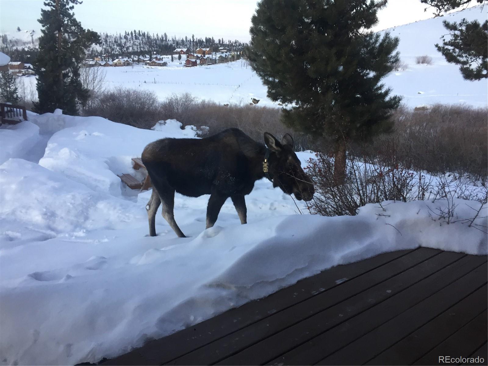 MLS Image #5 for 111  gcr 4421, #29 ,grand lake, Colorado