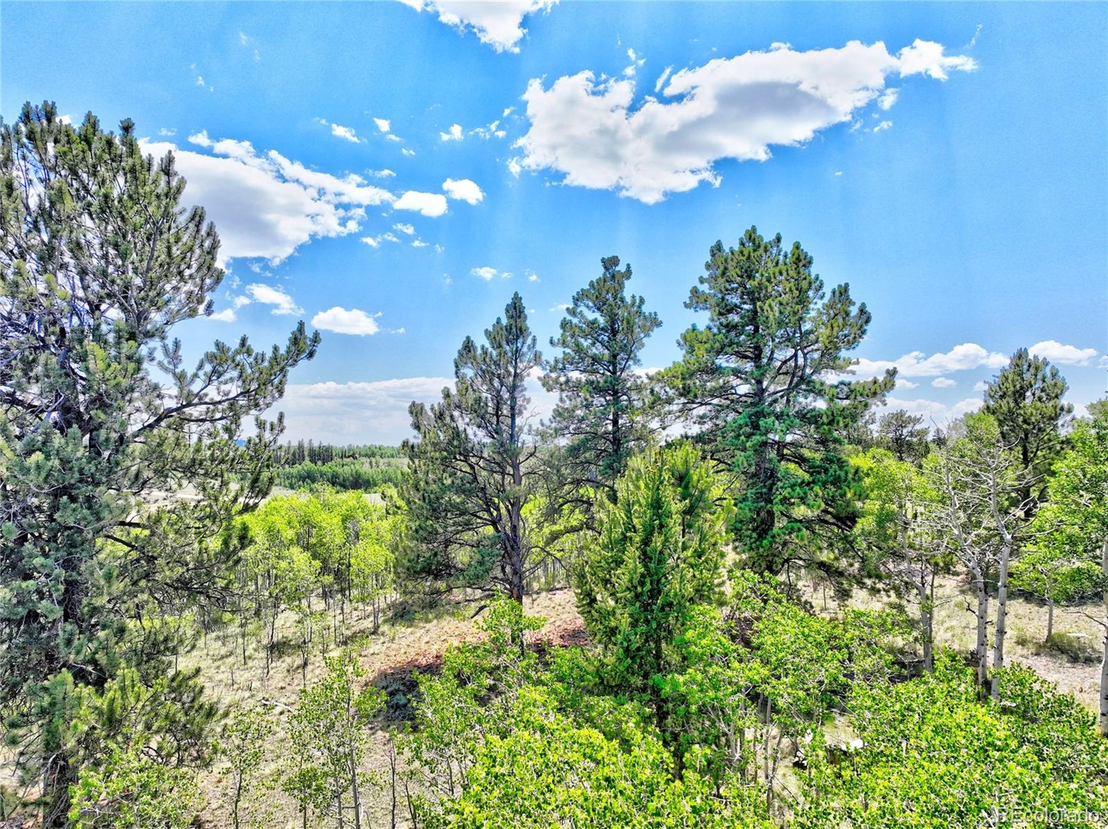 MLS Image #25 for 81  pistol way,como, Colorado